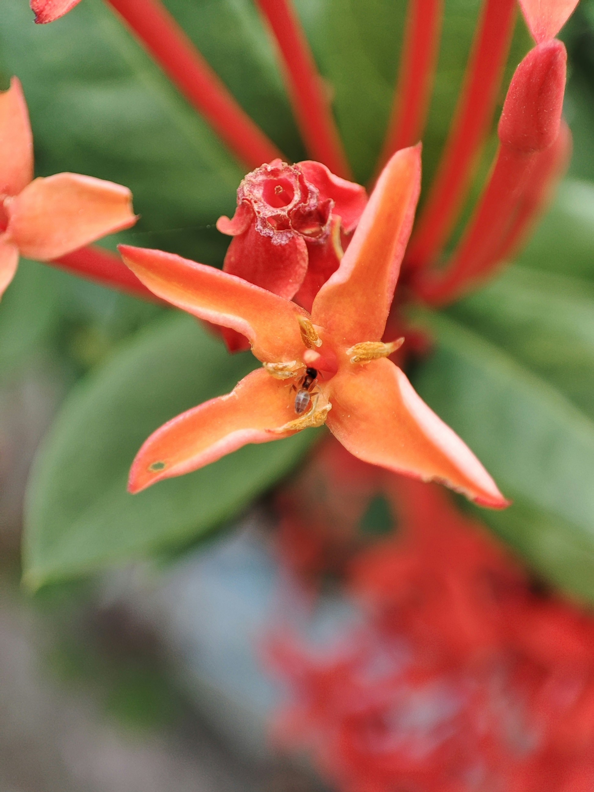 Photo by mranajustgo