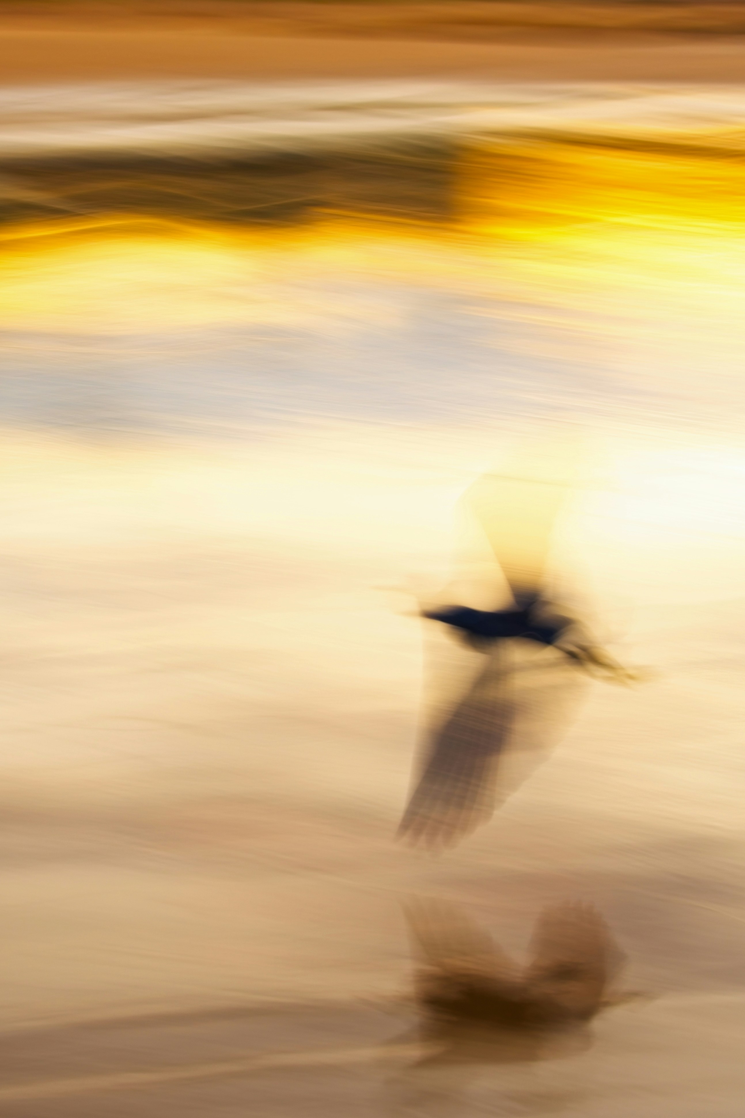 Photo by robert_clark