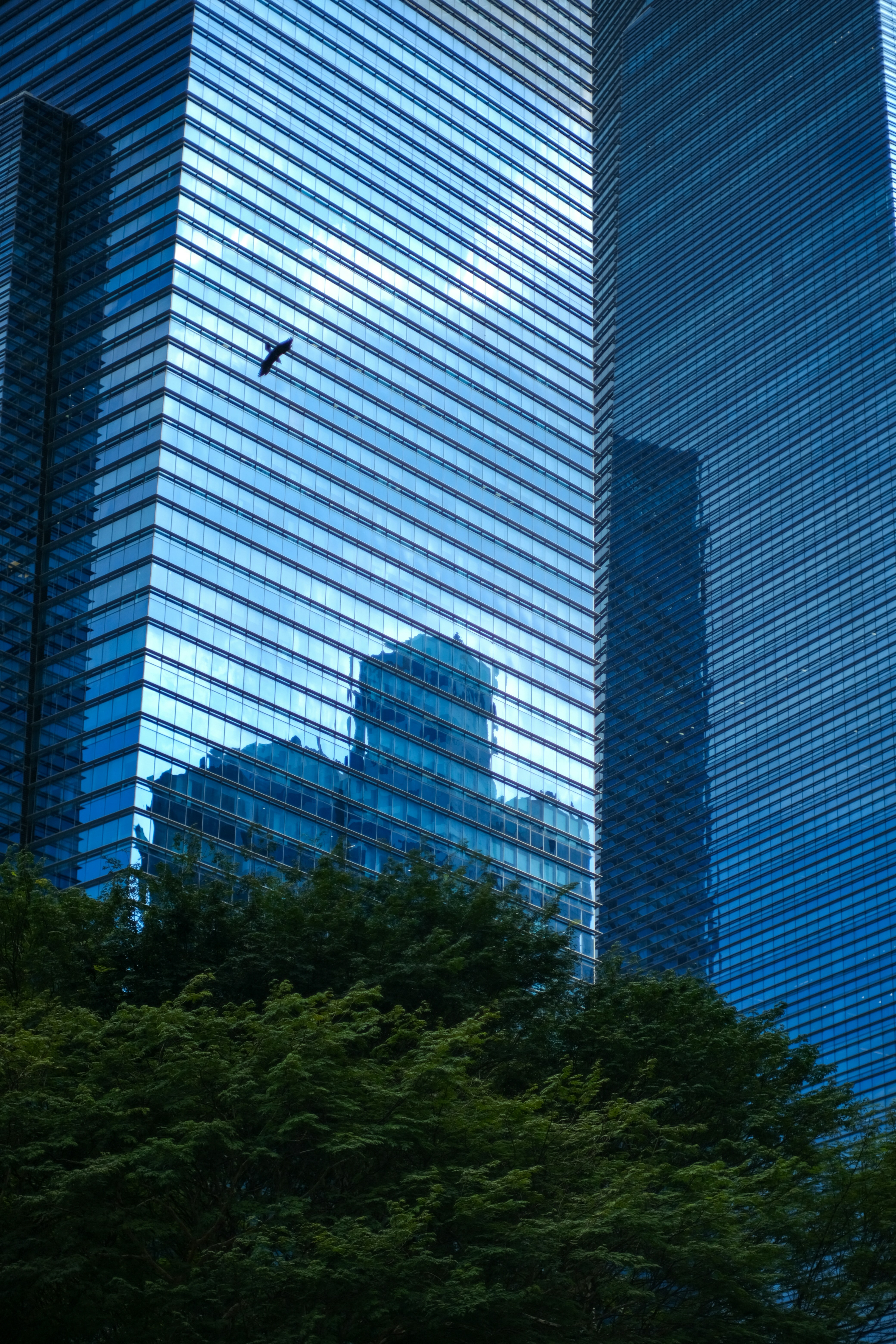 A bird flying in front of a very tall building