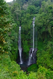 A large waterfall in the middle of a forest