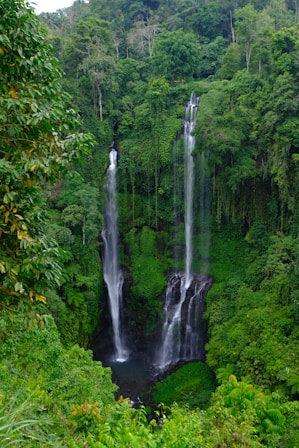 A large waterfall in the middle of a forest