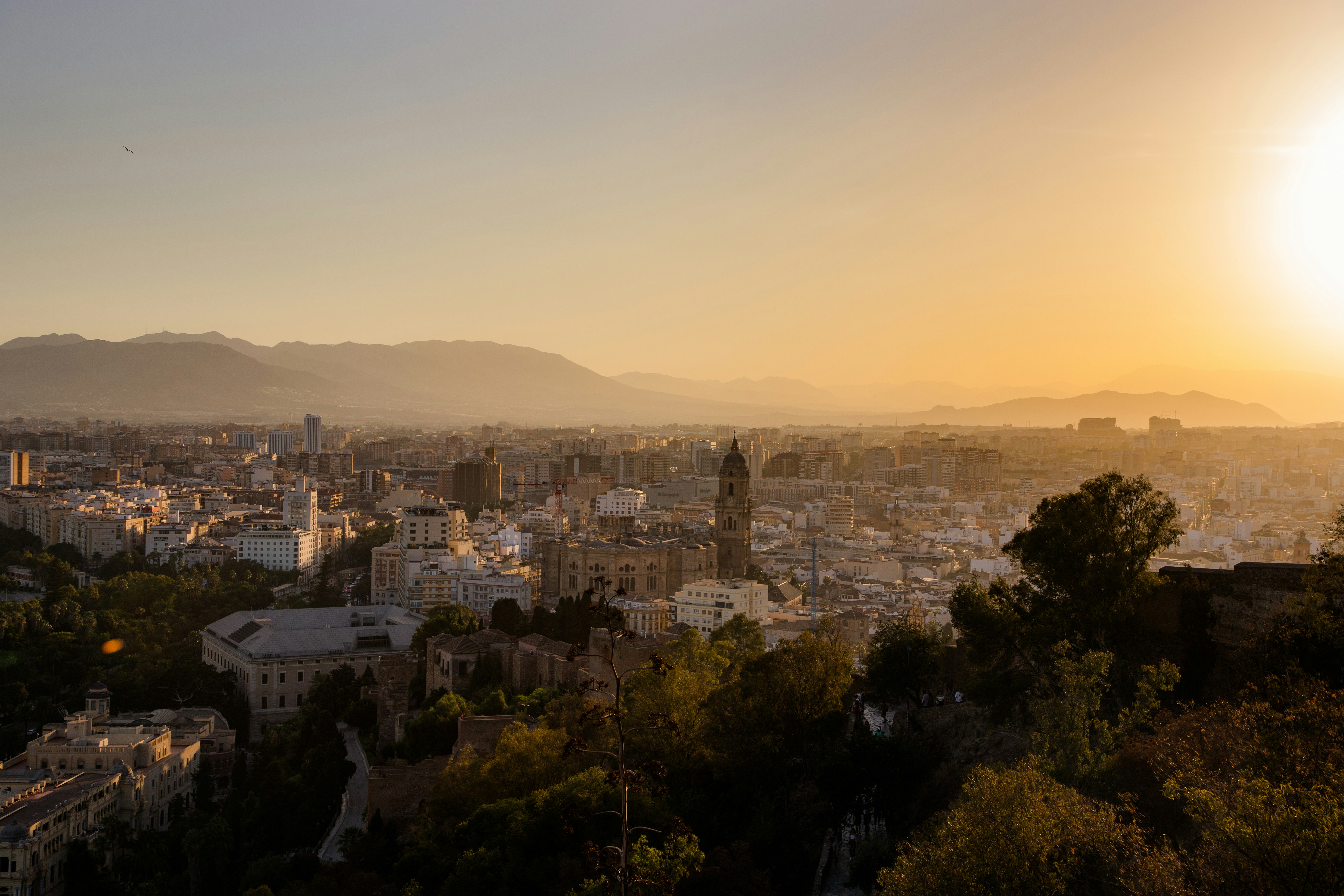 Photo by jovanvasiljevic