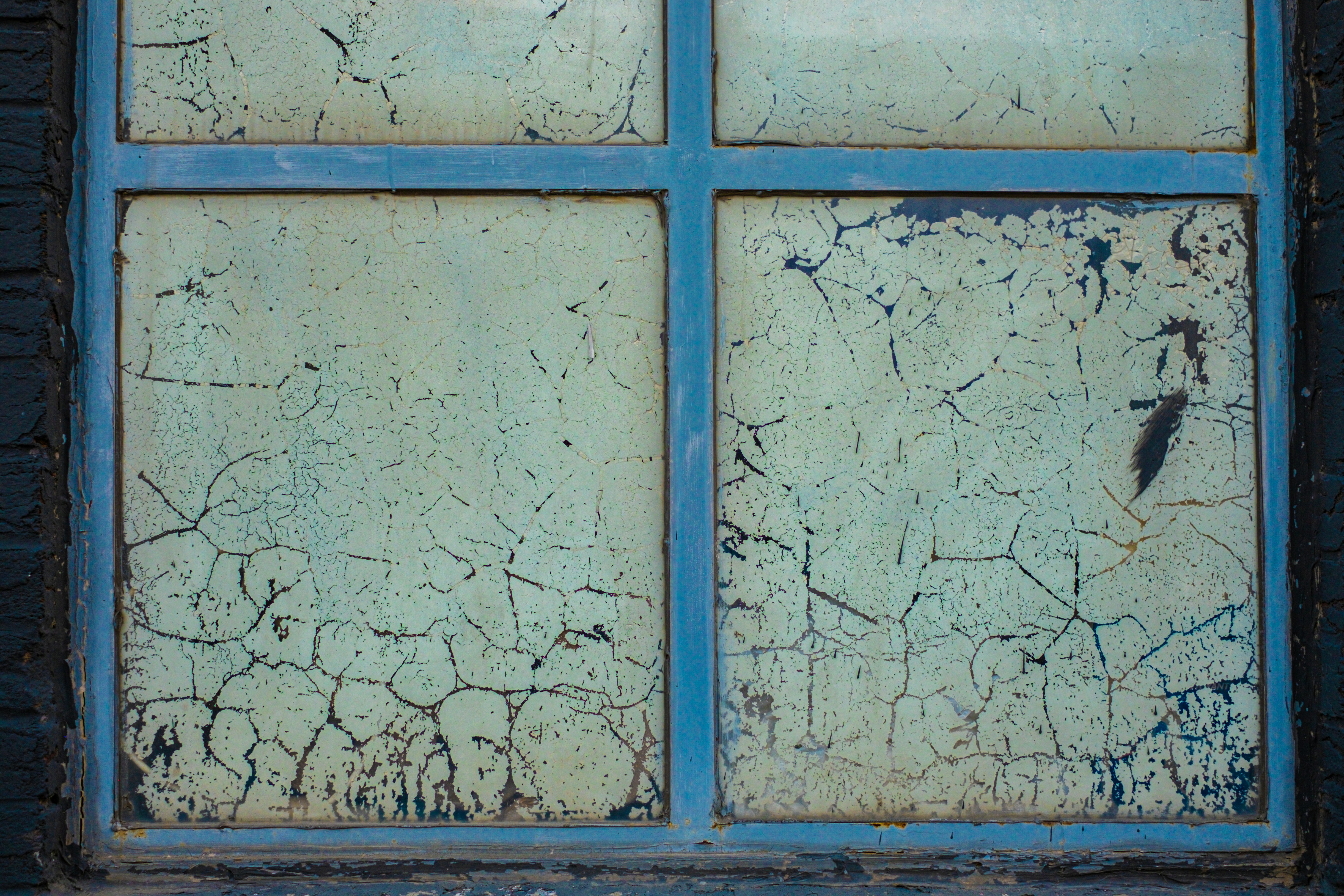 Una ventana con un pájaro sentado en el alféizar de la ventana