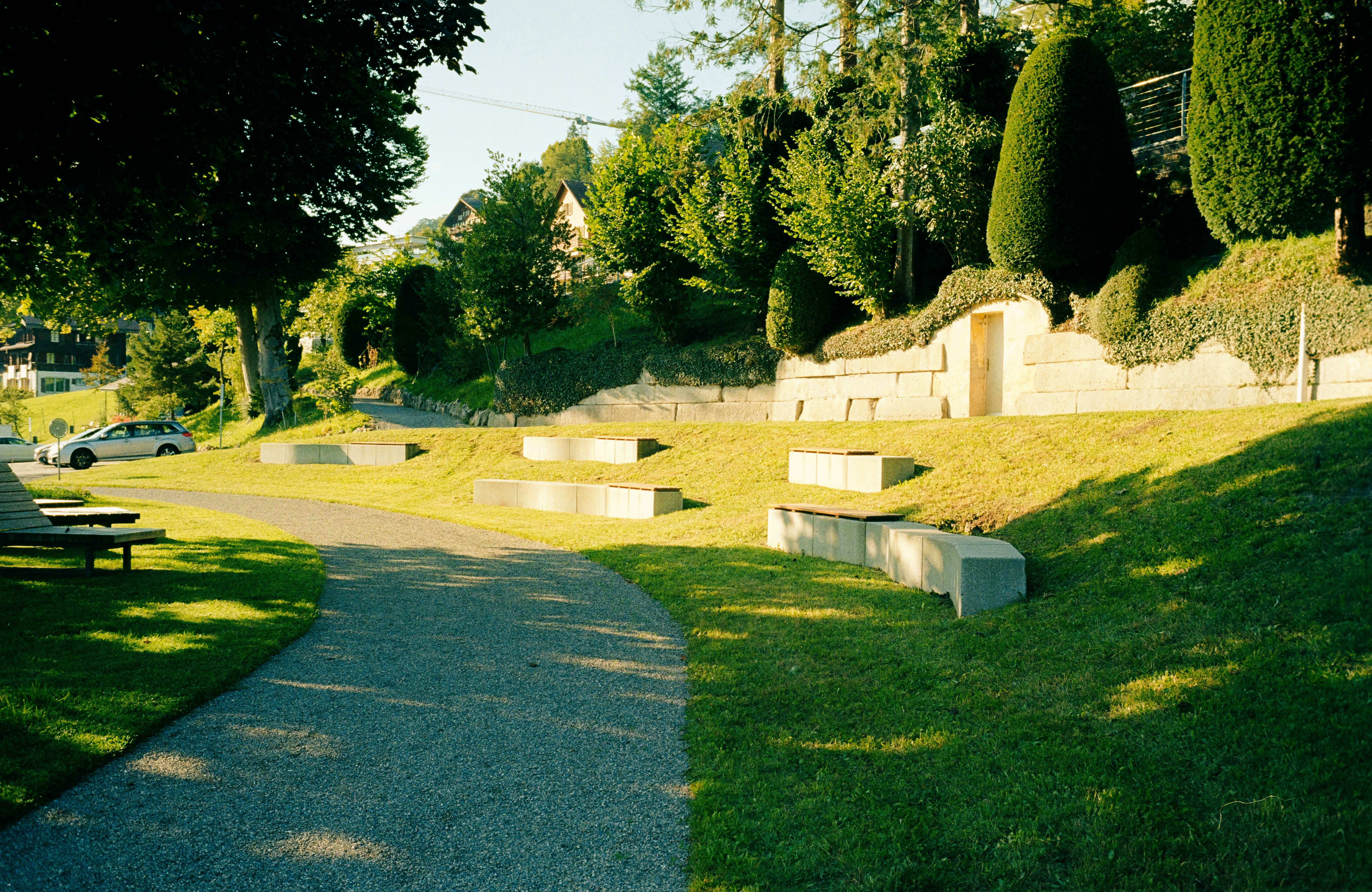A park with benches and trees on the side of the road