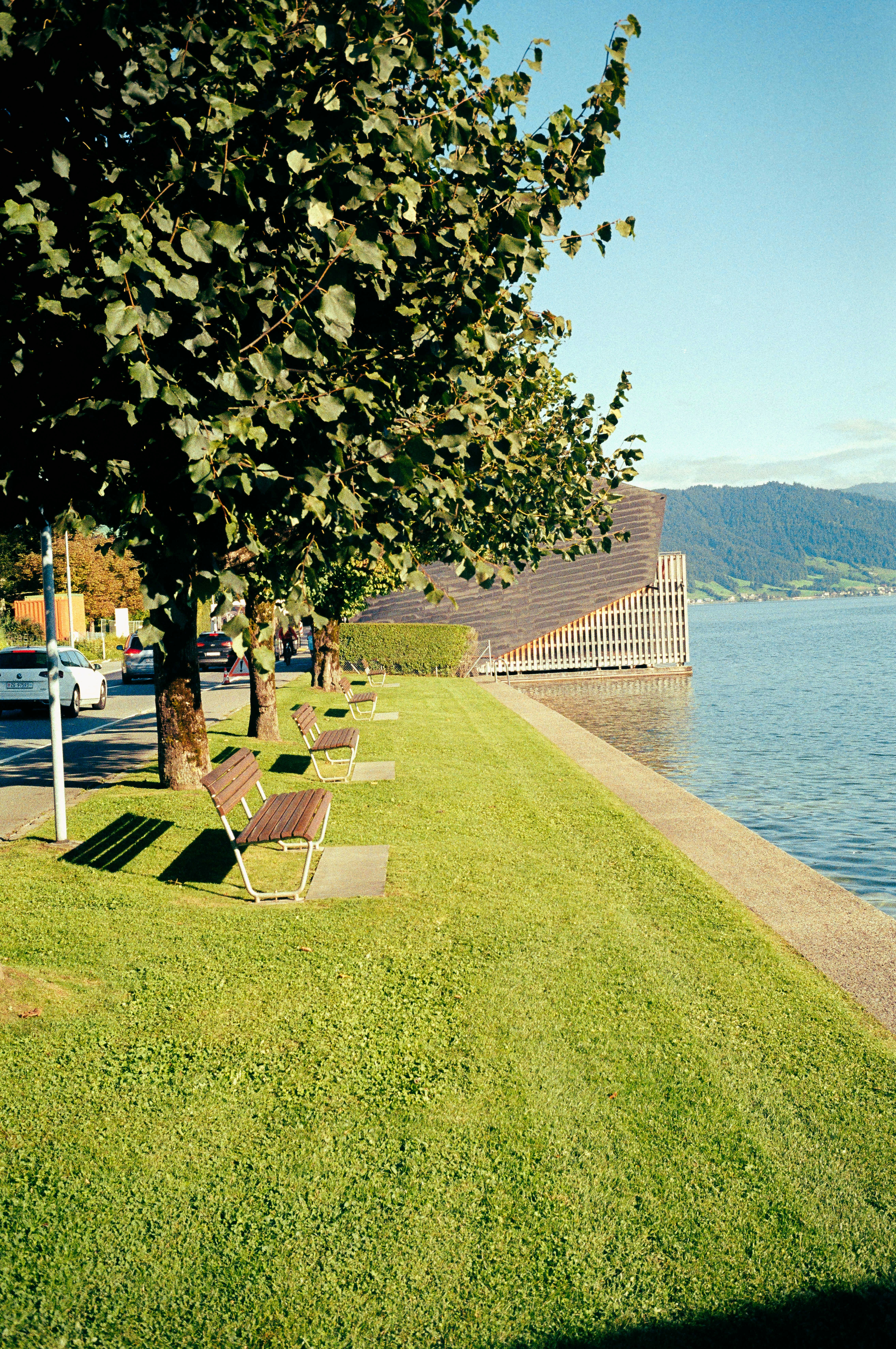 Eine Reihe von Liegestühlen neben einem Gewässer