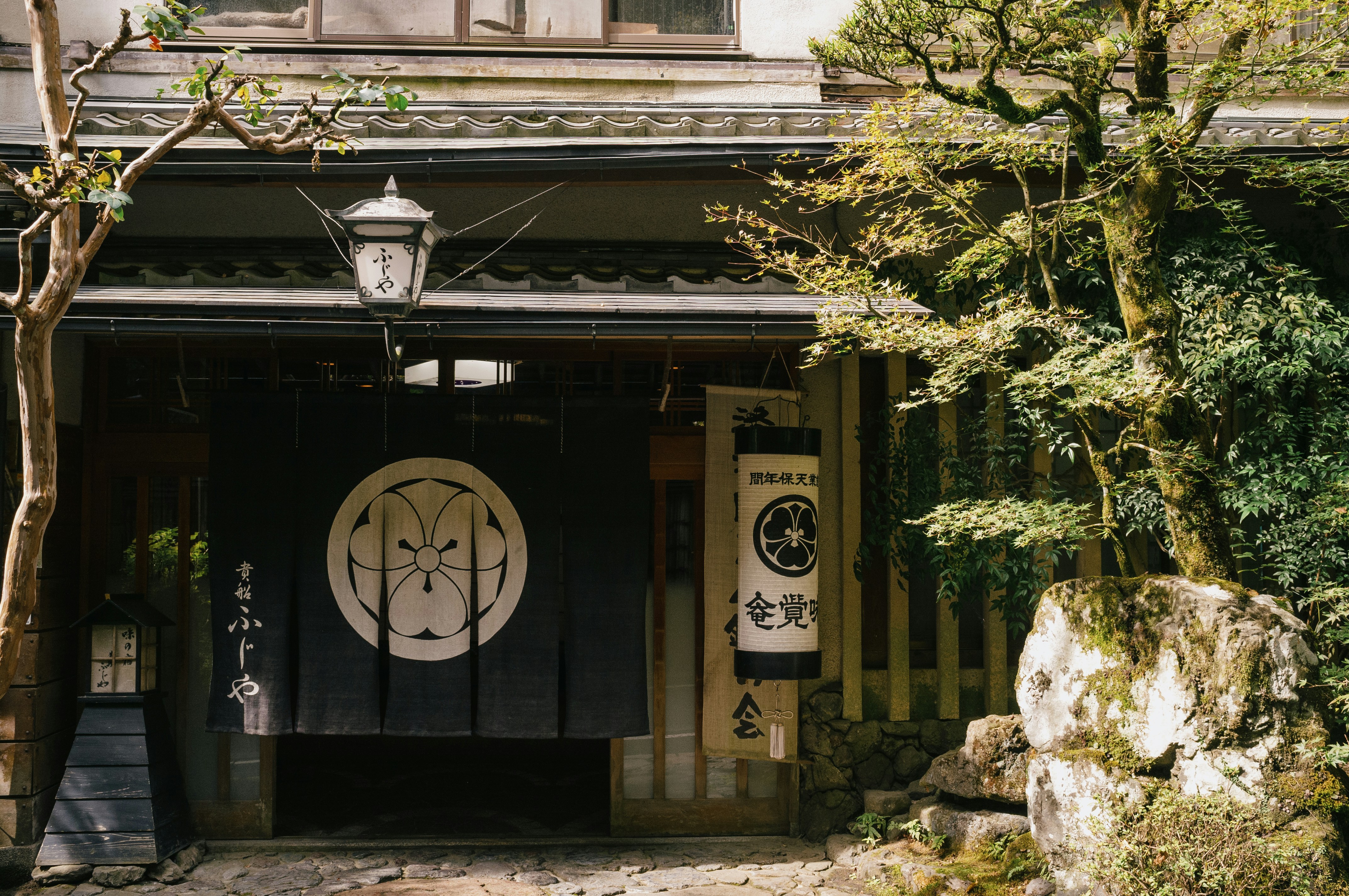 kyoto, japan image