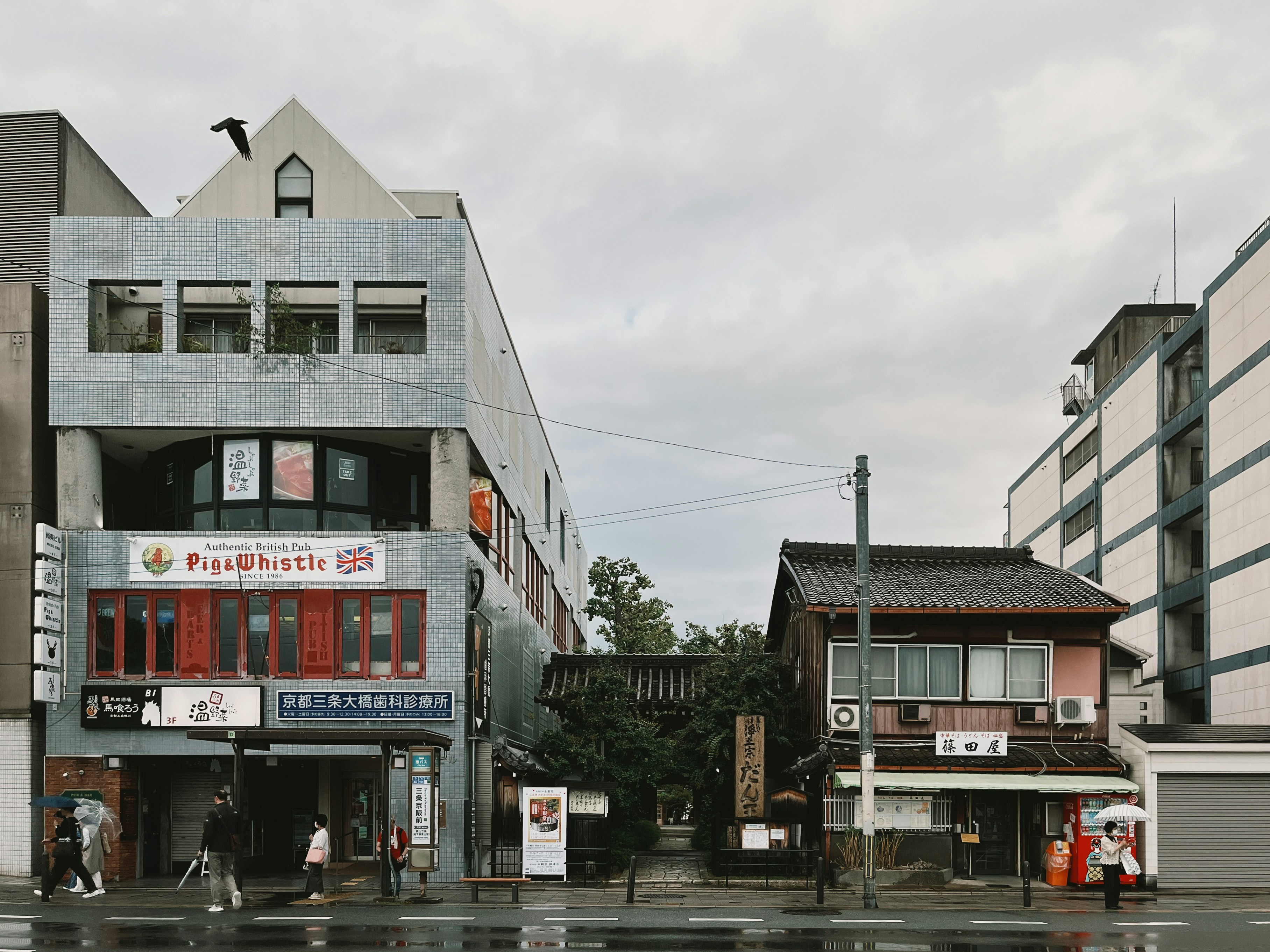 Winter Earthquake Safety in Japan: Your Essential Guide for Tourists