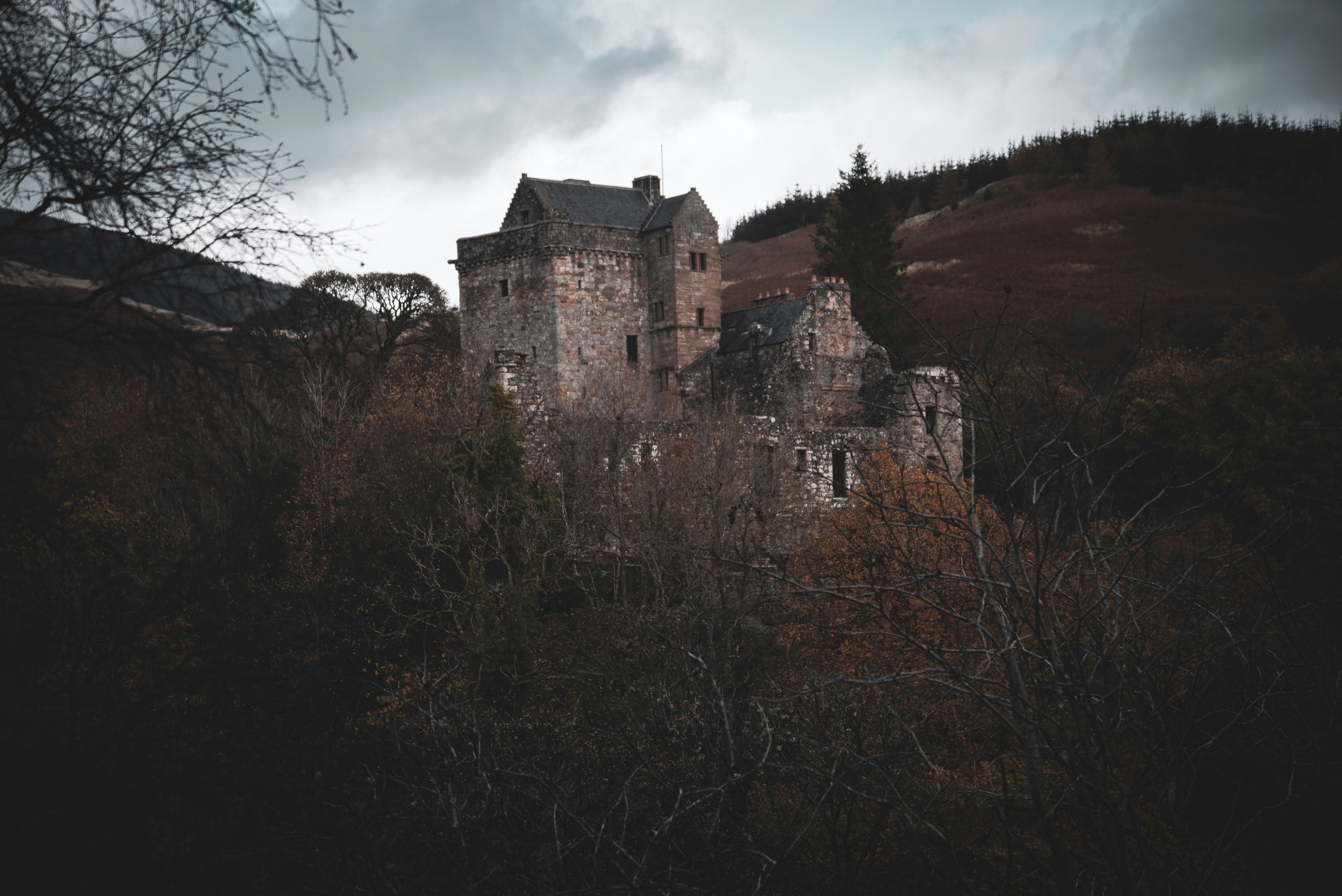 Photo by alphaperspective