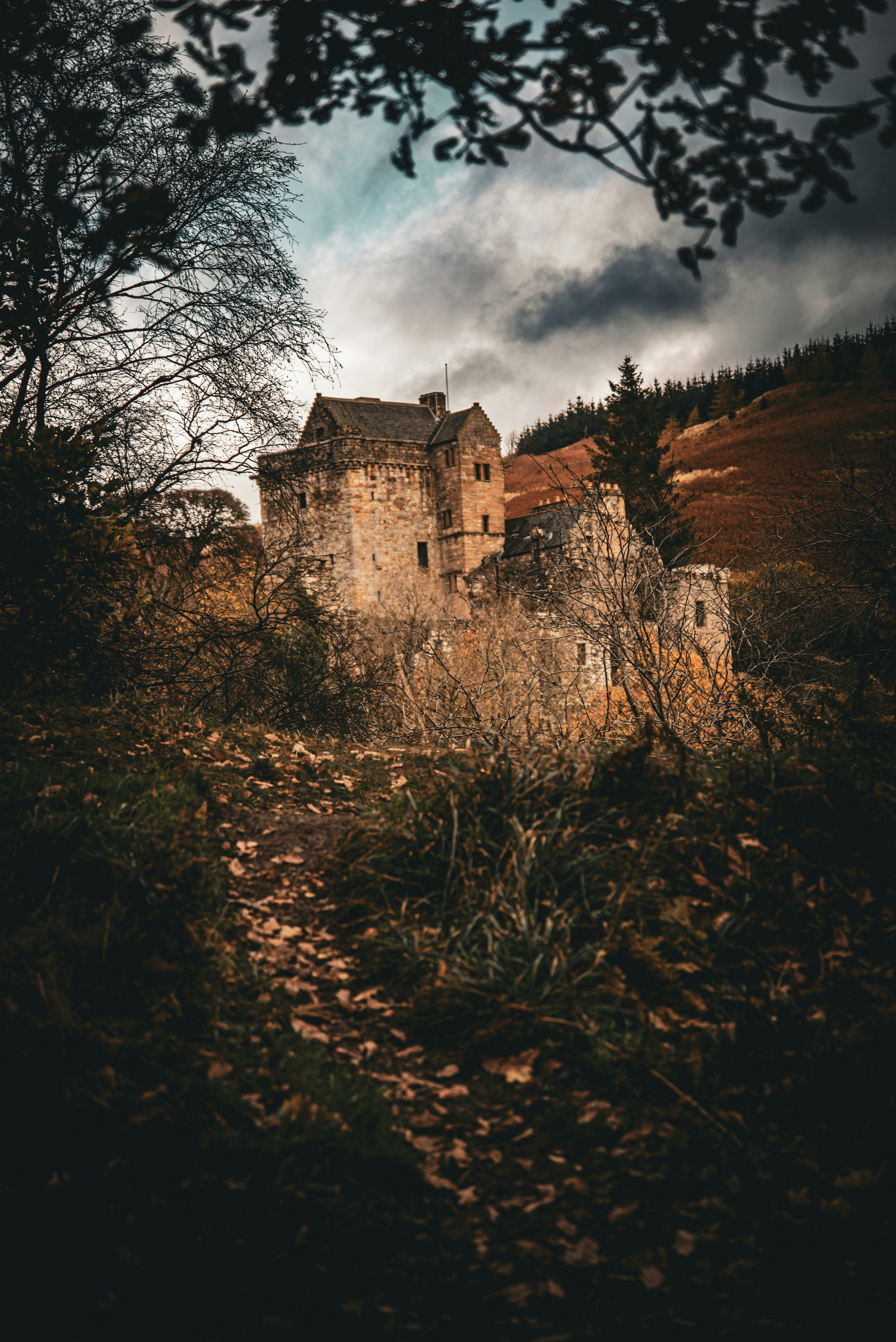 Photo by alphaperspective