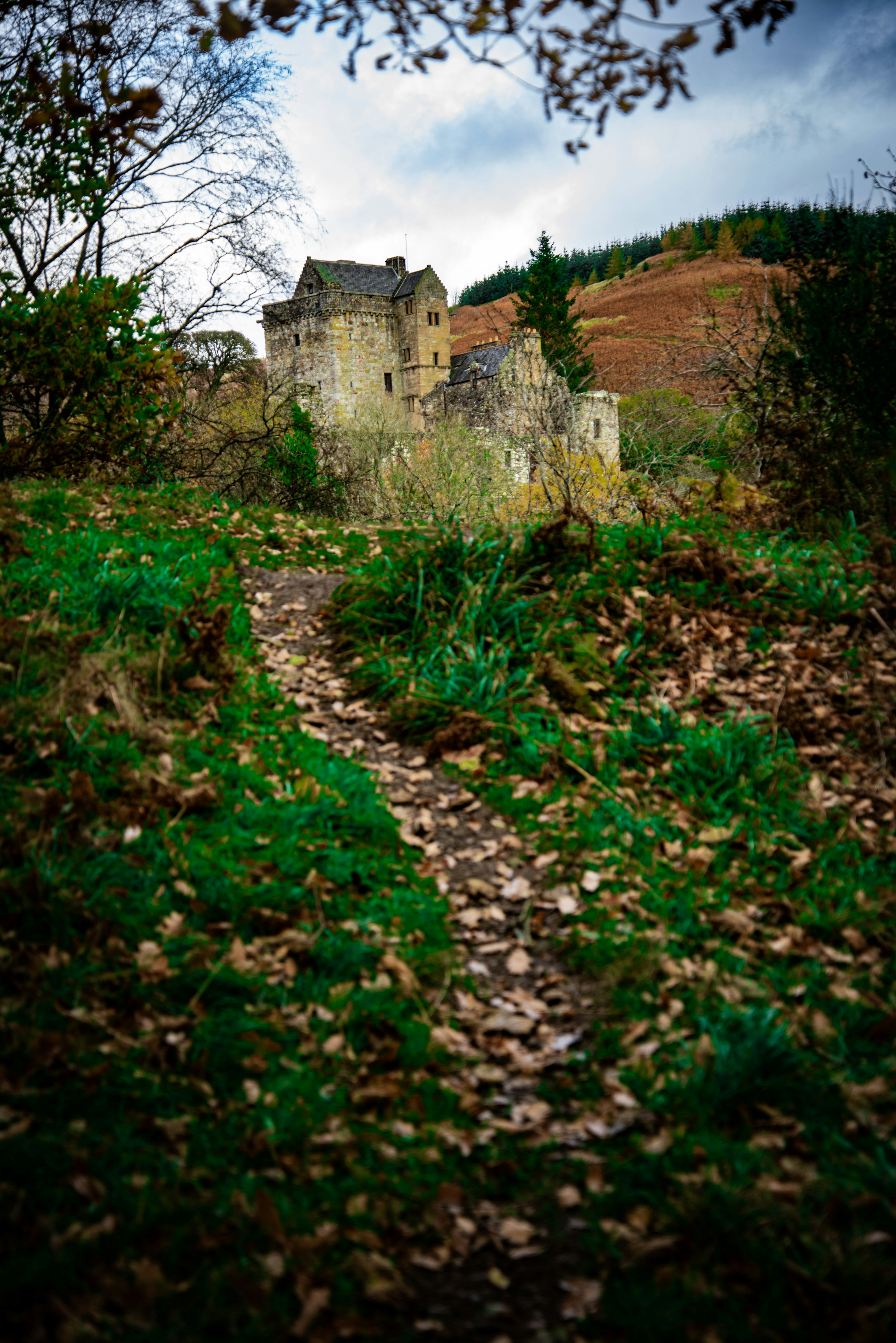 Photo by alphaperspective