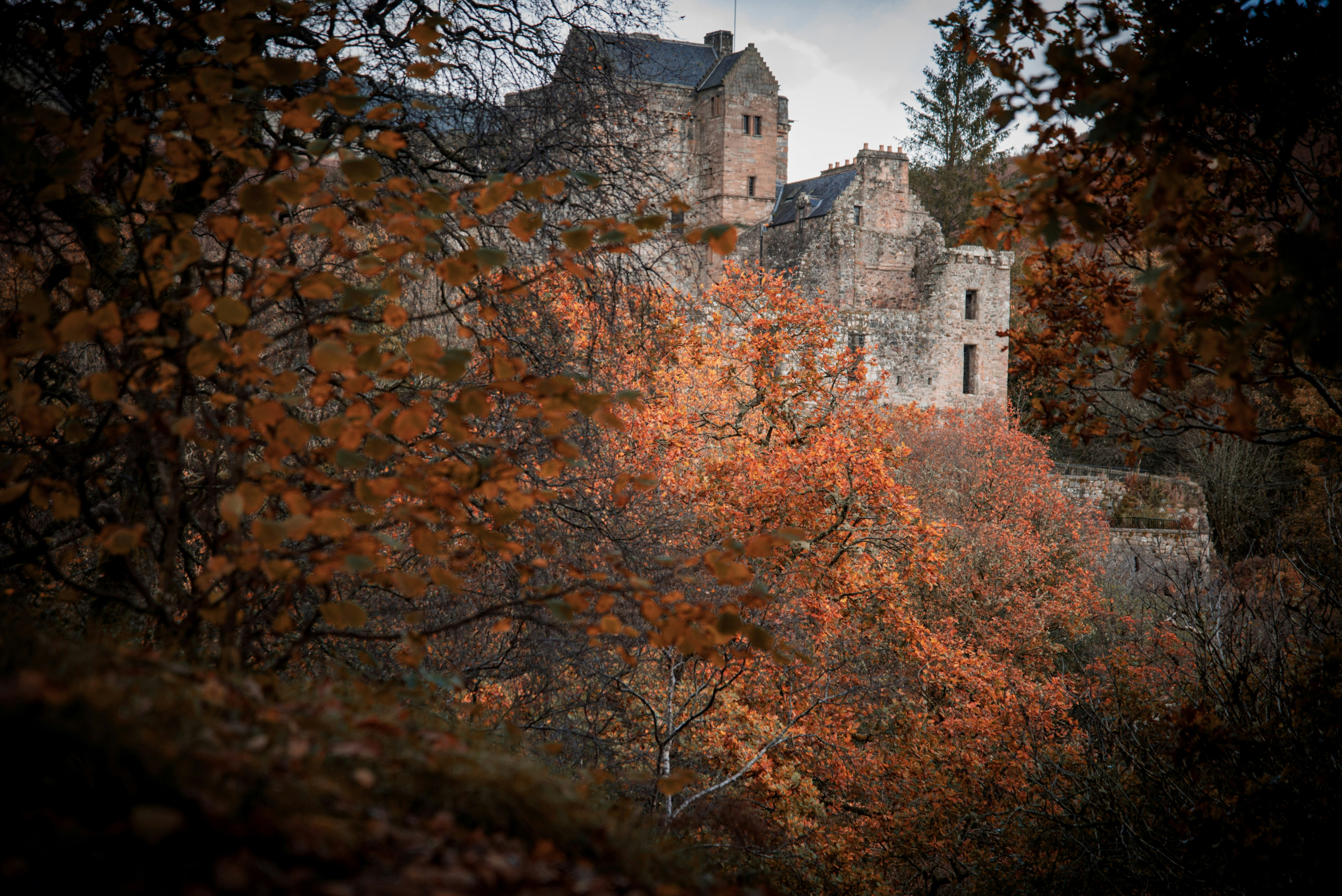 Photo by alphaperspective