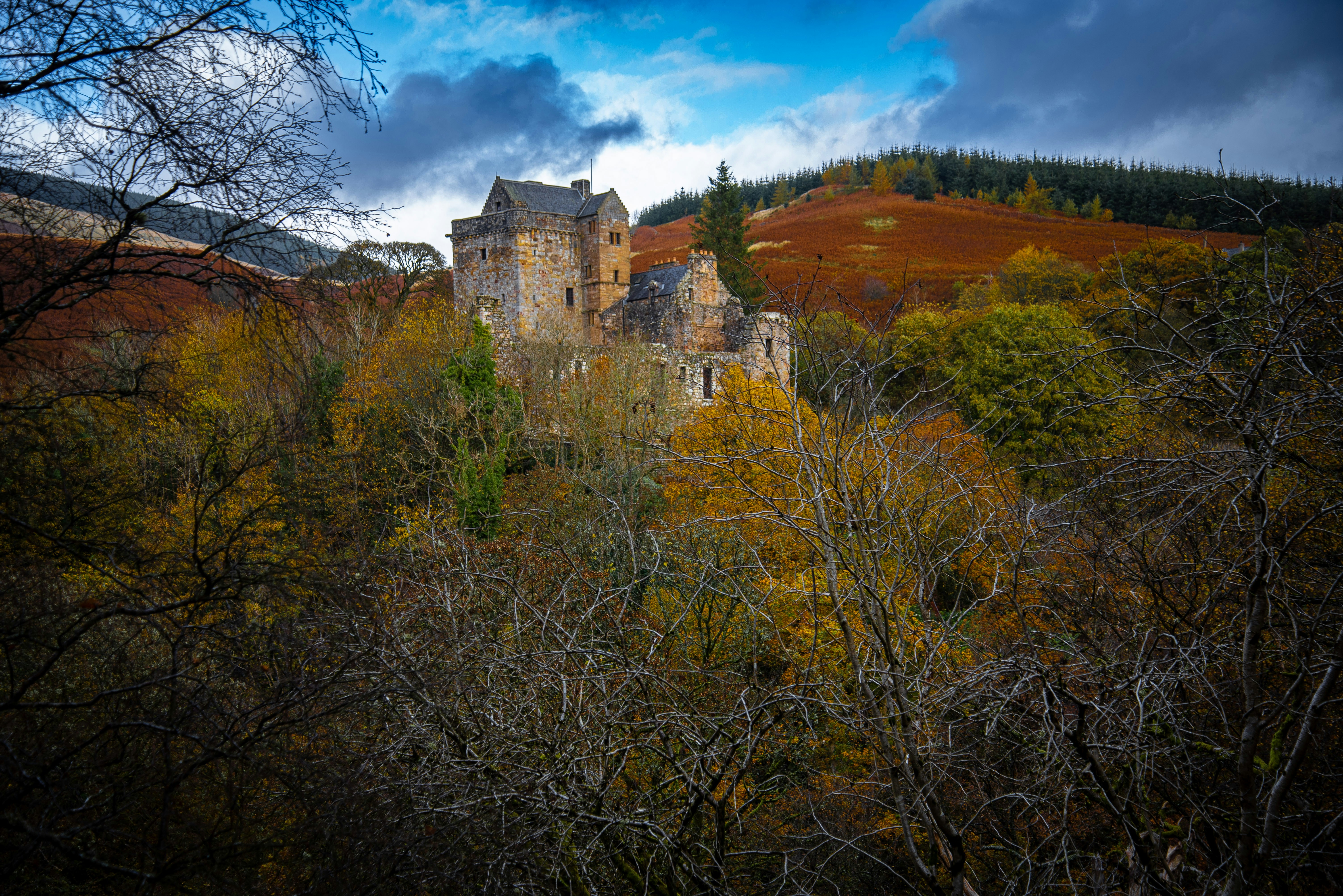 Photo by alphaperspective