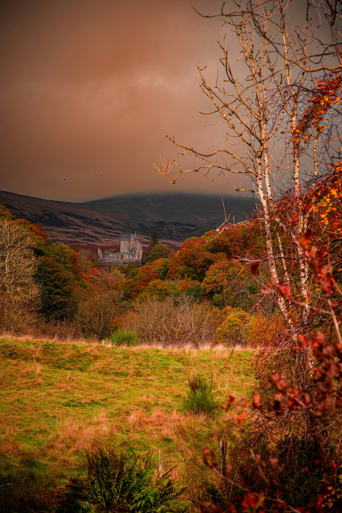 The Ochil Hills rising above the Hillfoots in Clackmannanshire, Scotland