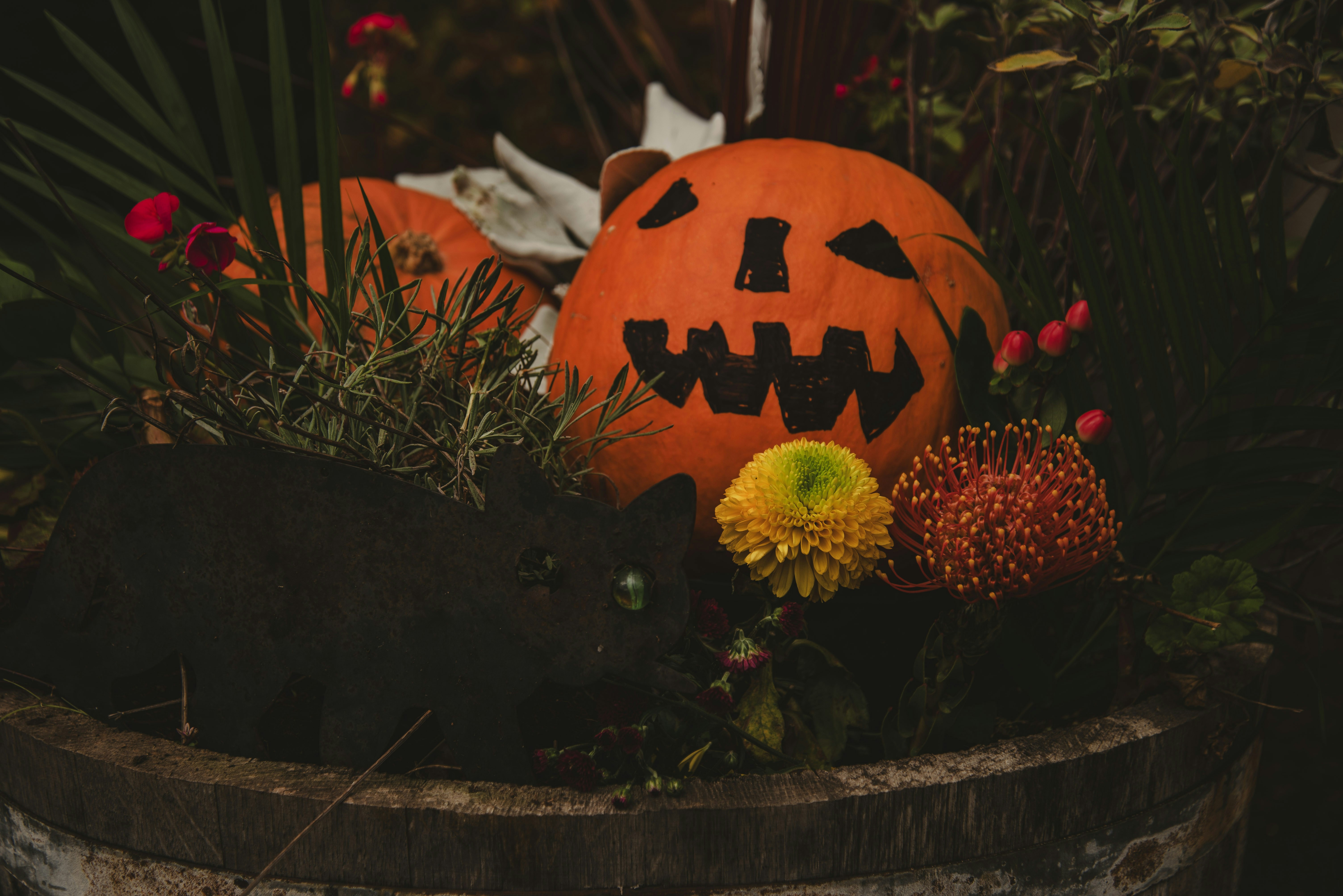 Photo by alphaperspective