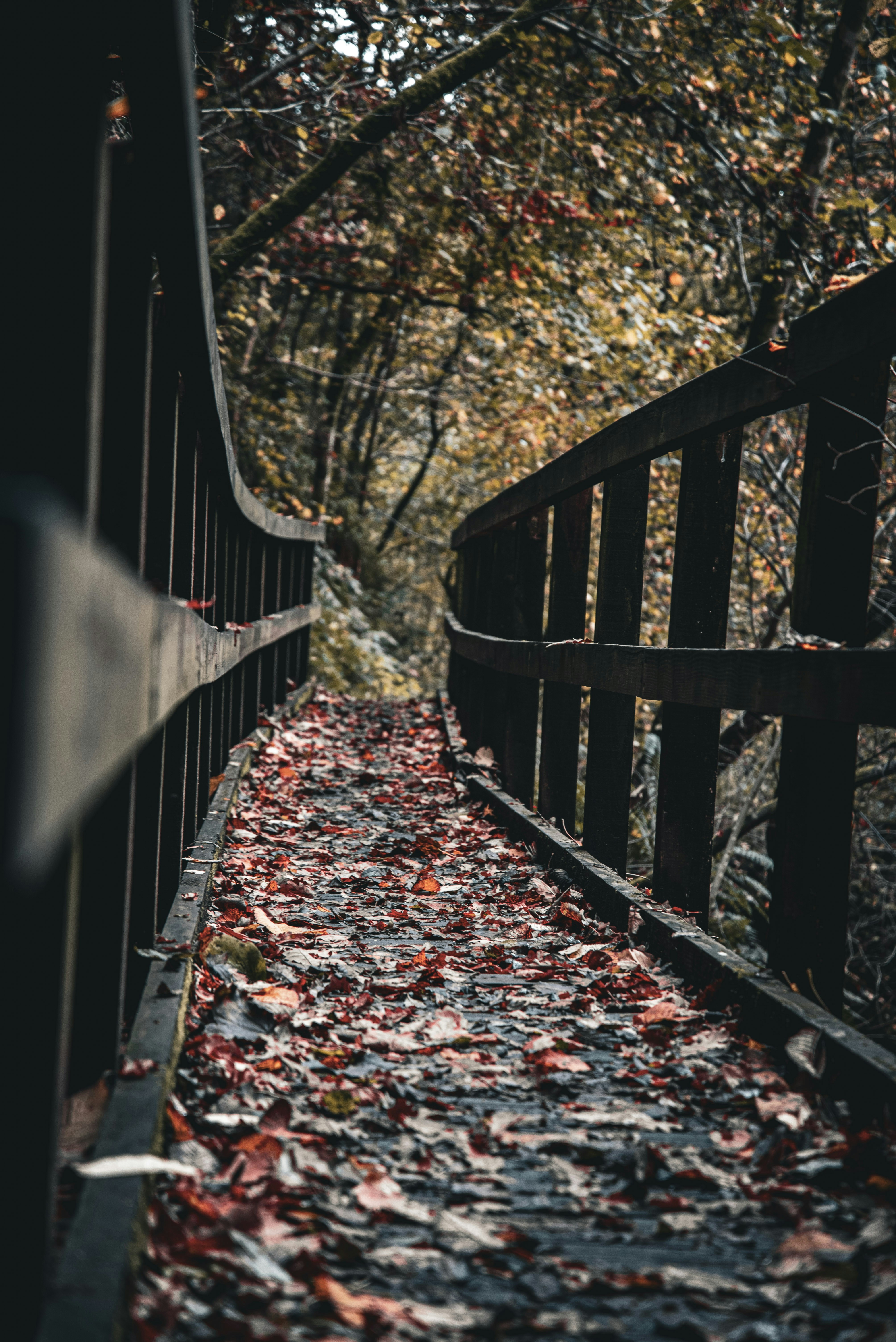 Photo by alphaperspective