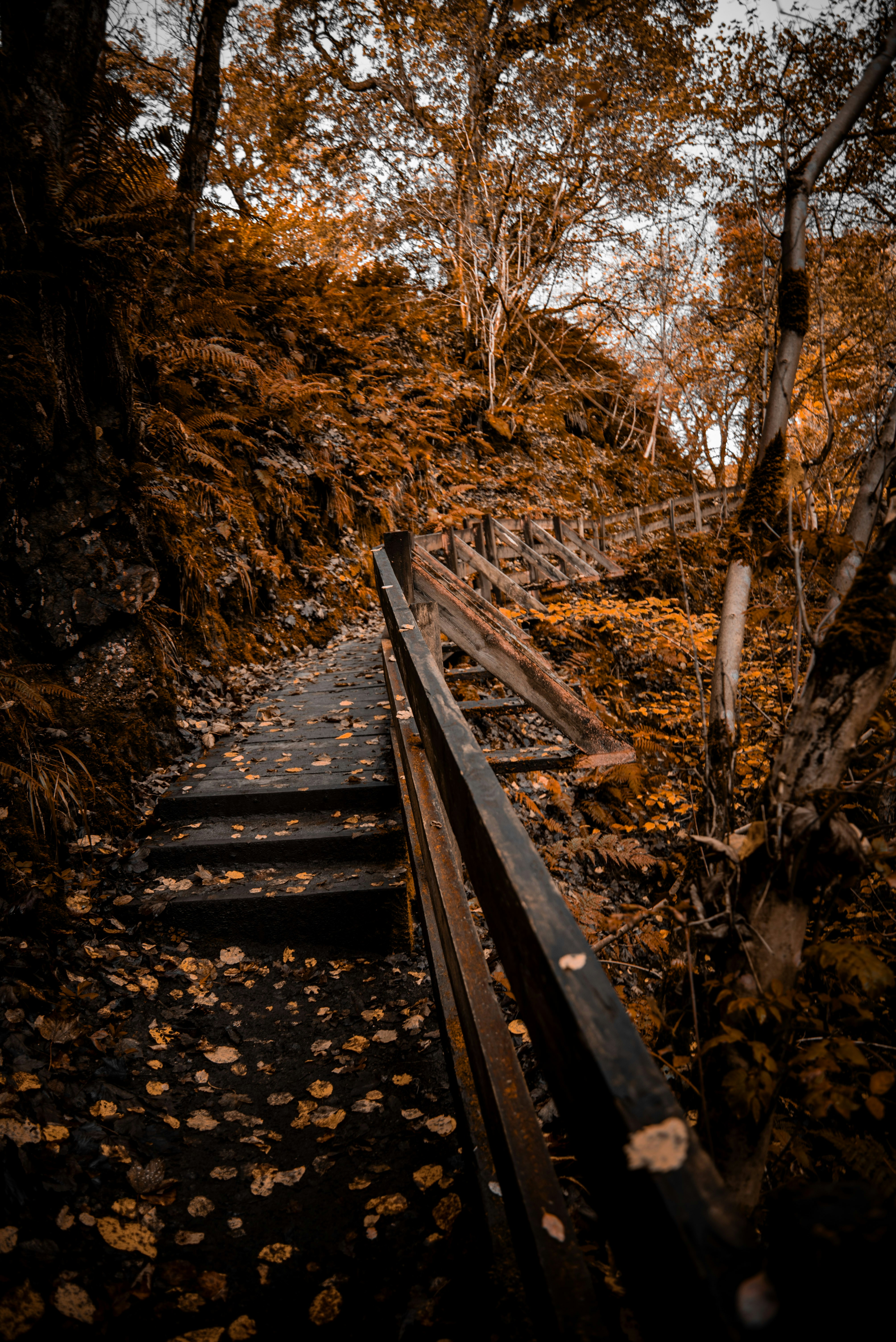 Photo by alphaperspective