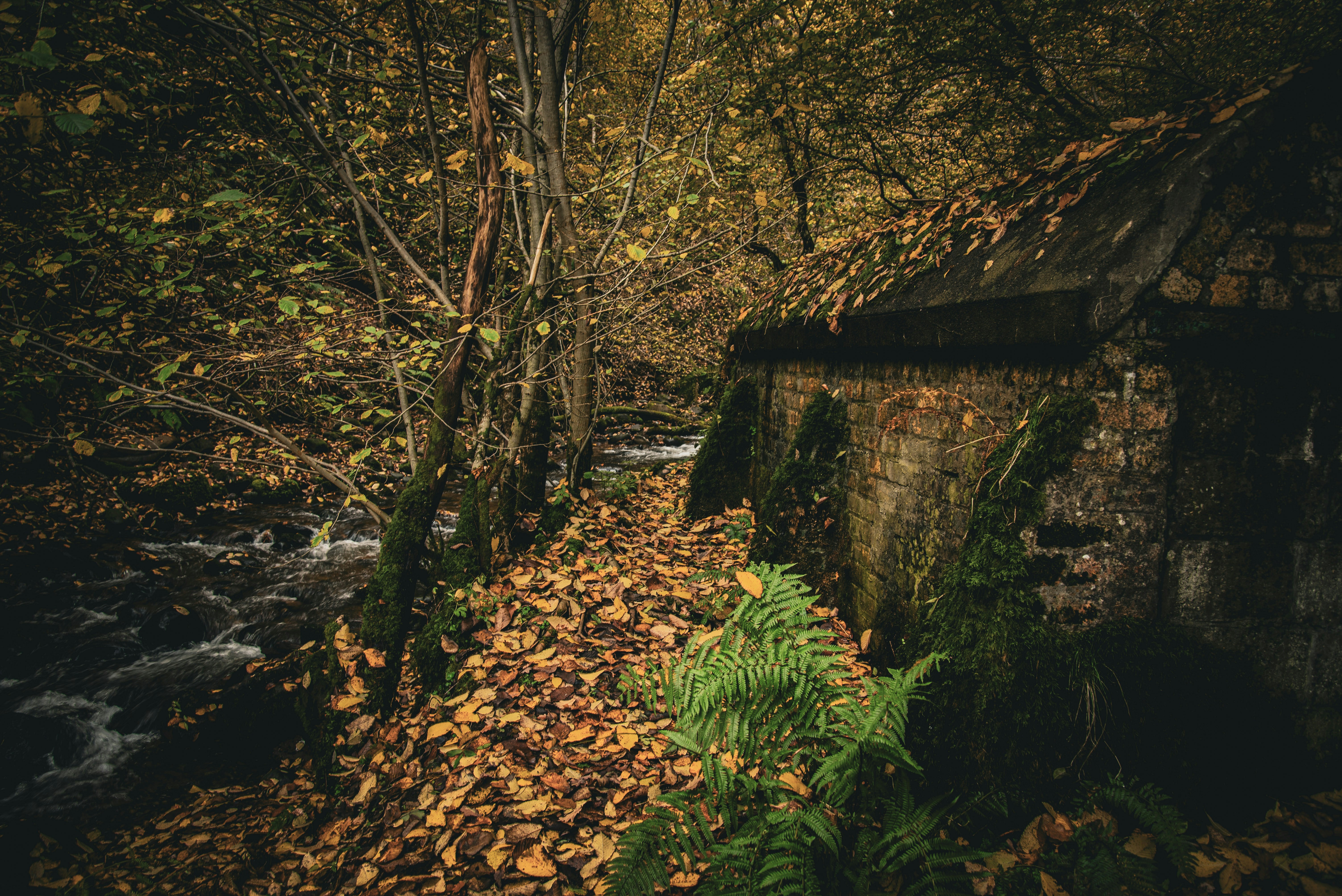 Photo by alphaperspective