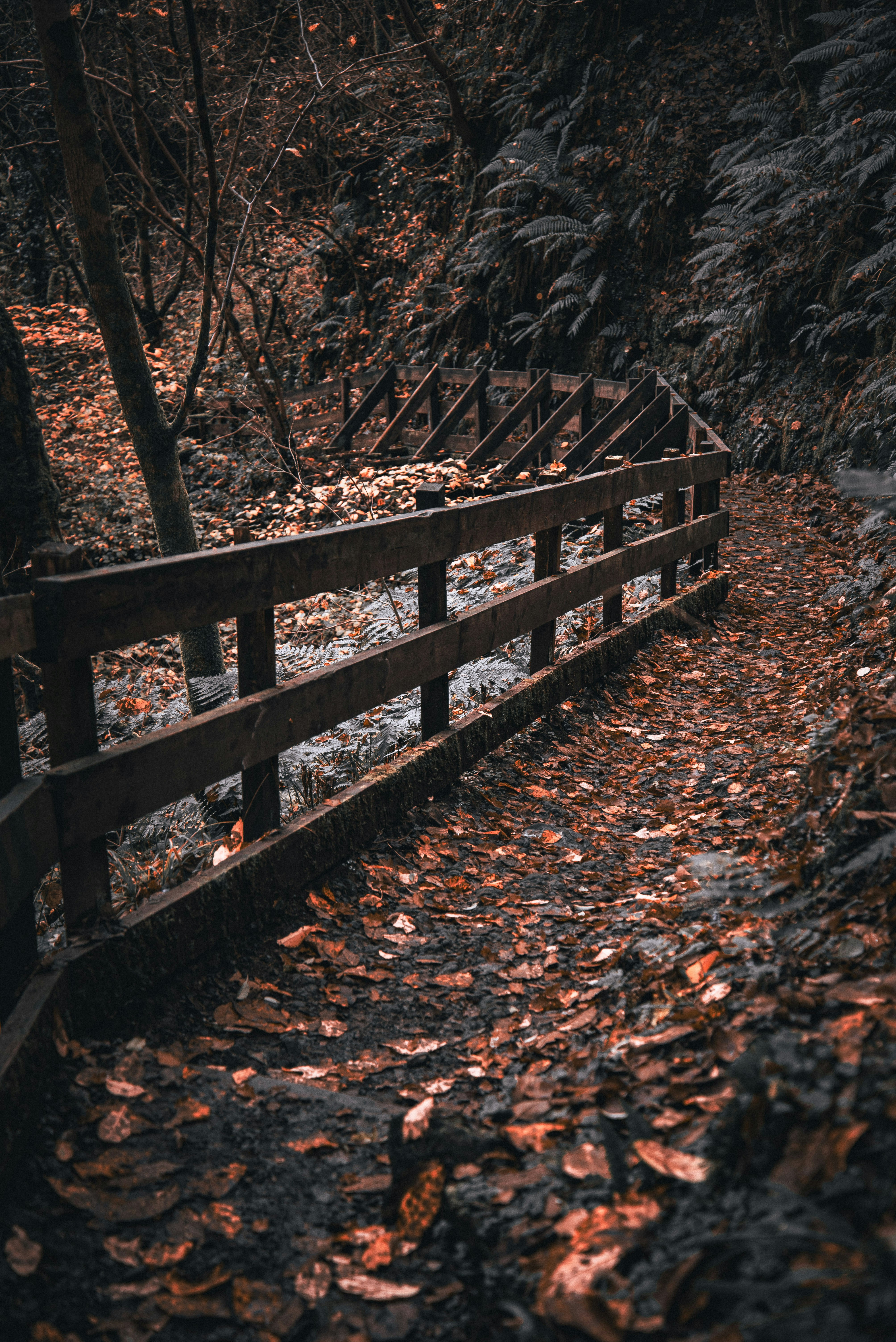 Photo by alphaperspective