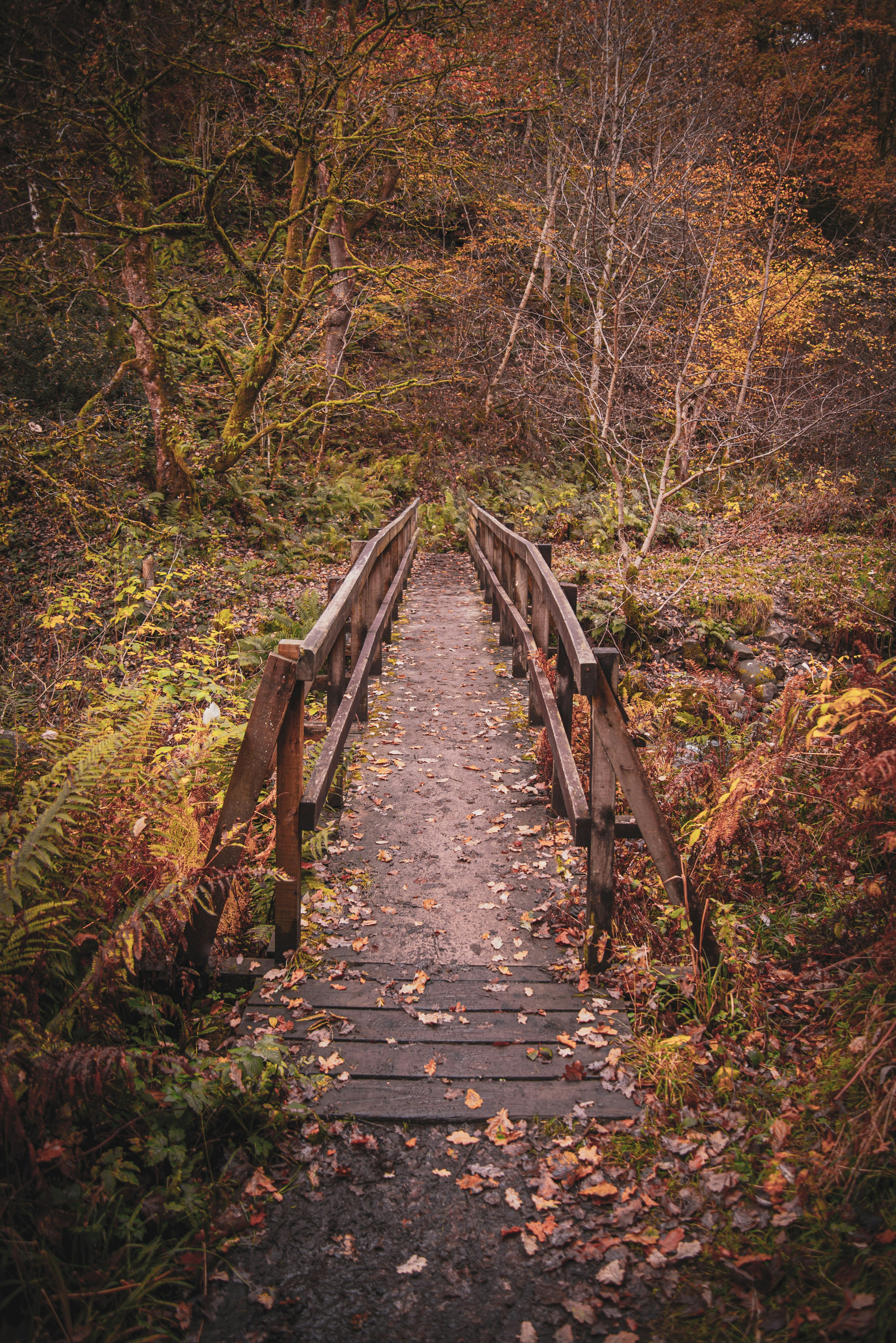 Photo by alphaperspective