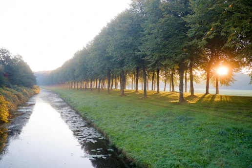Une rivière qui traverse une forêt verdoyante luxuriante quotidienpositif