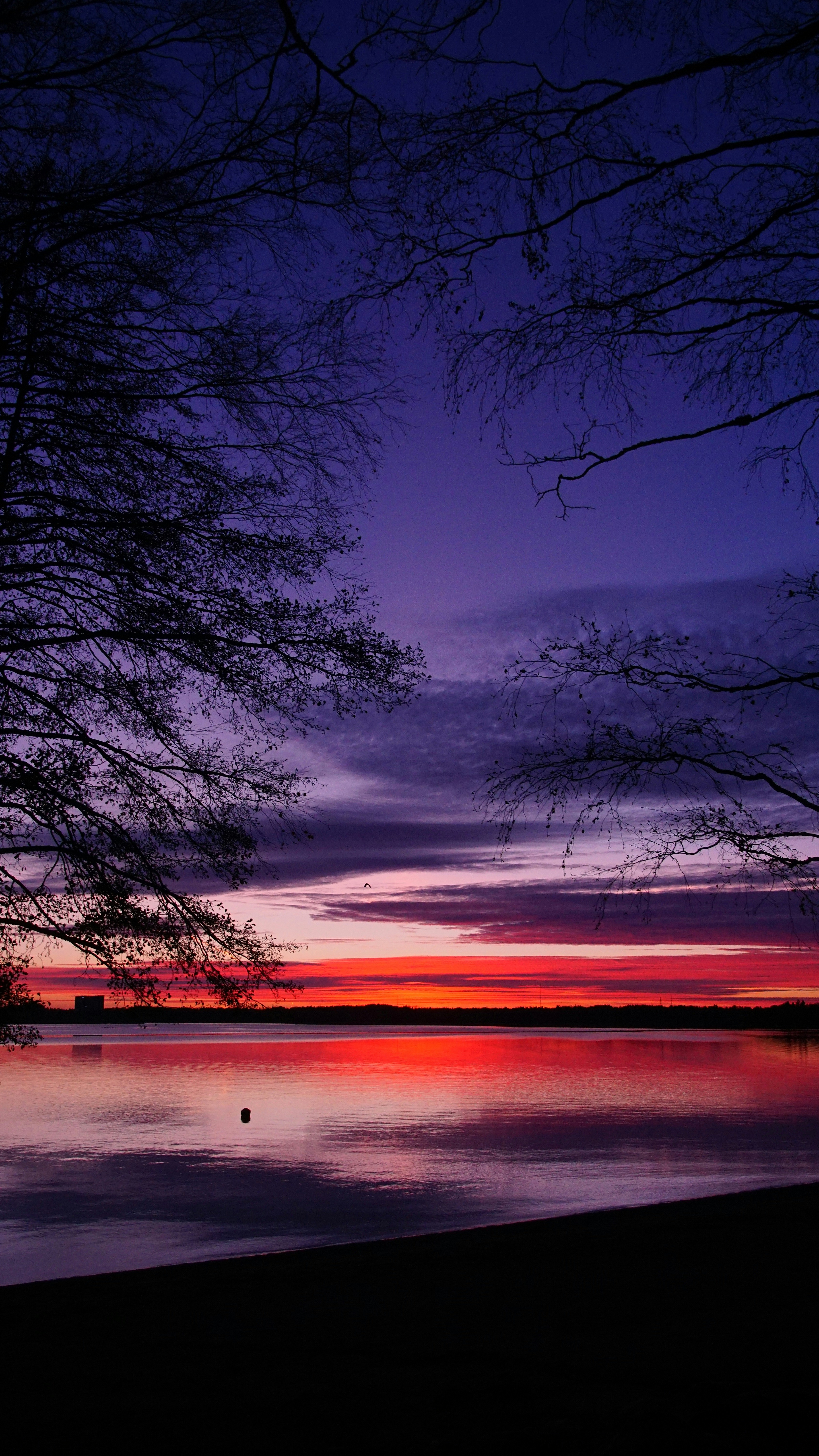 Photo by marttisalmi