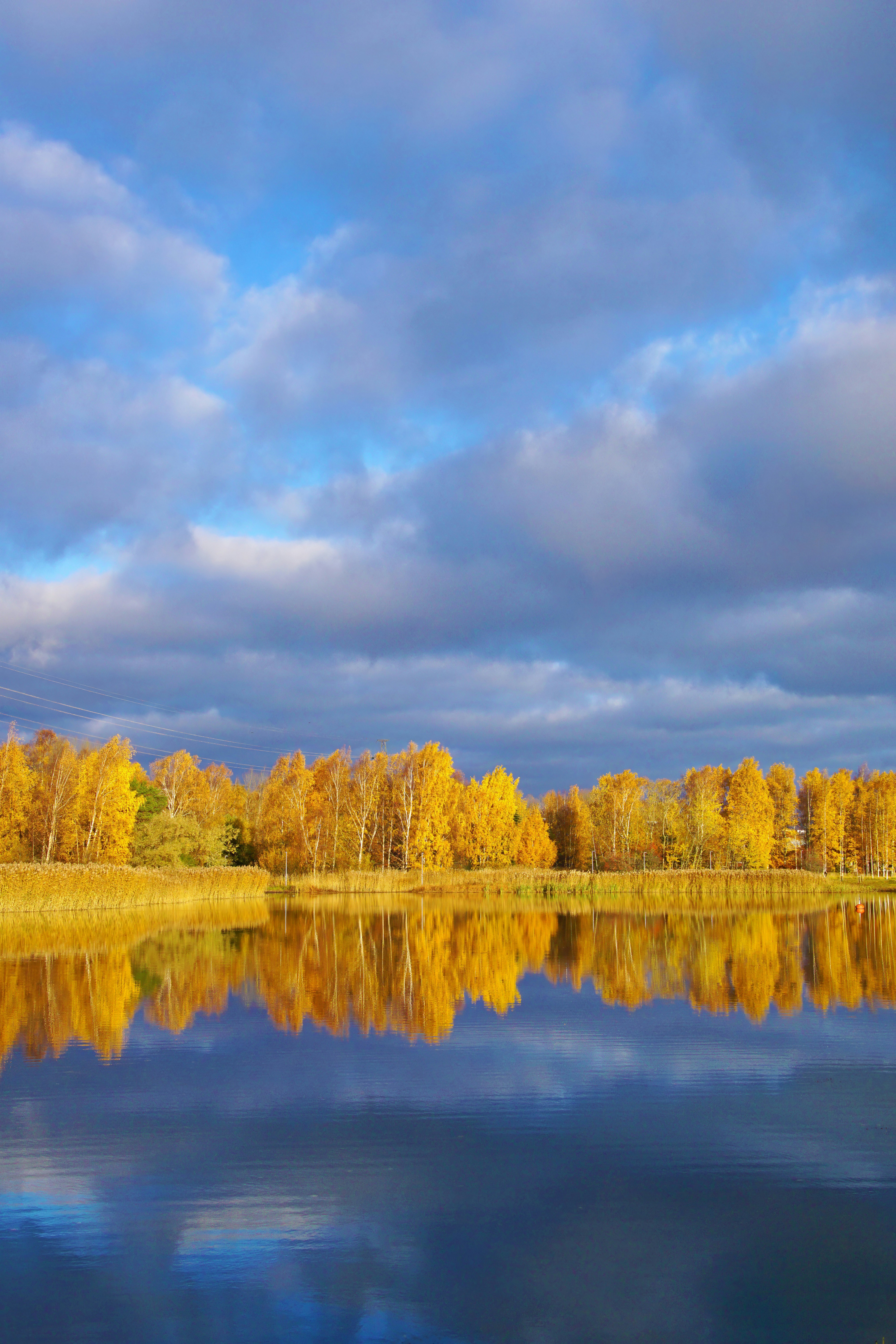 Photo by marttisalmi