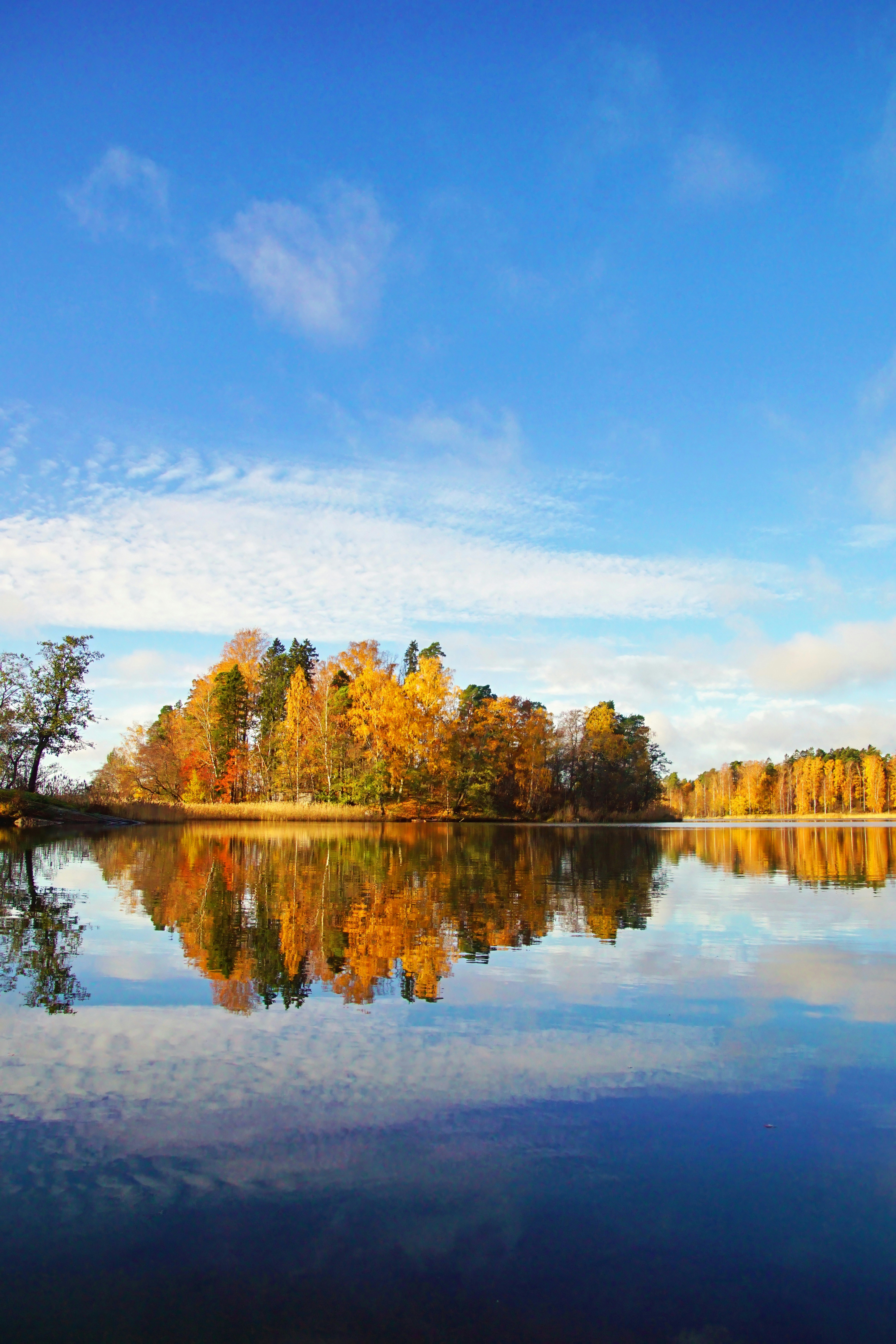 Photo by marttisalmi