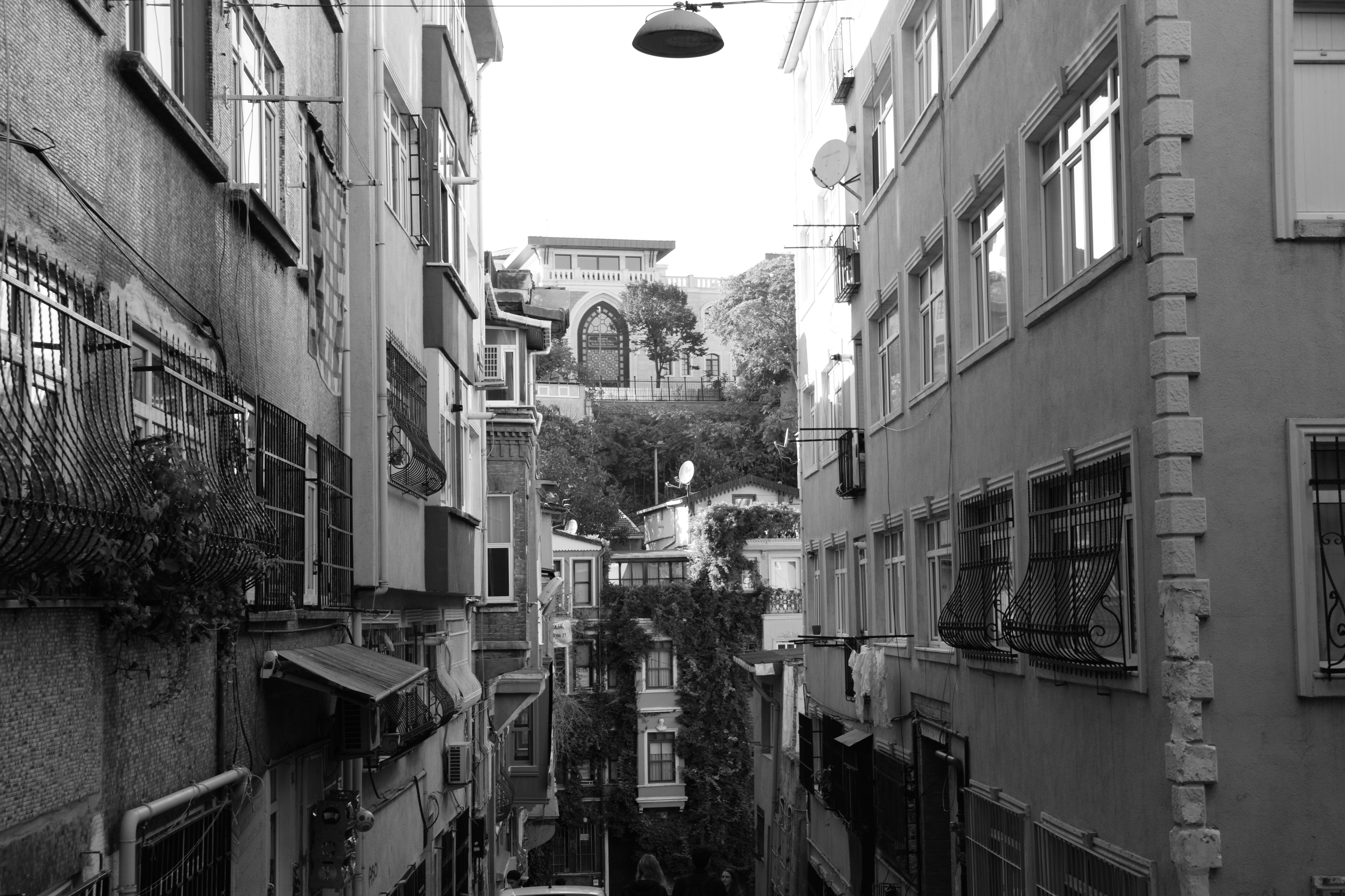 Photo by tevafotos