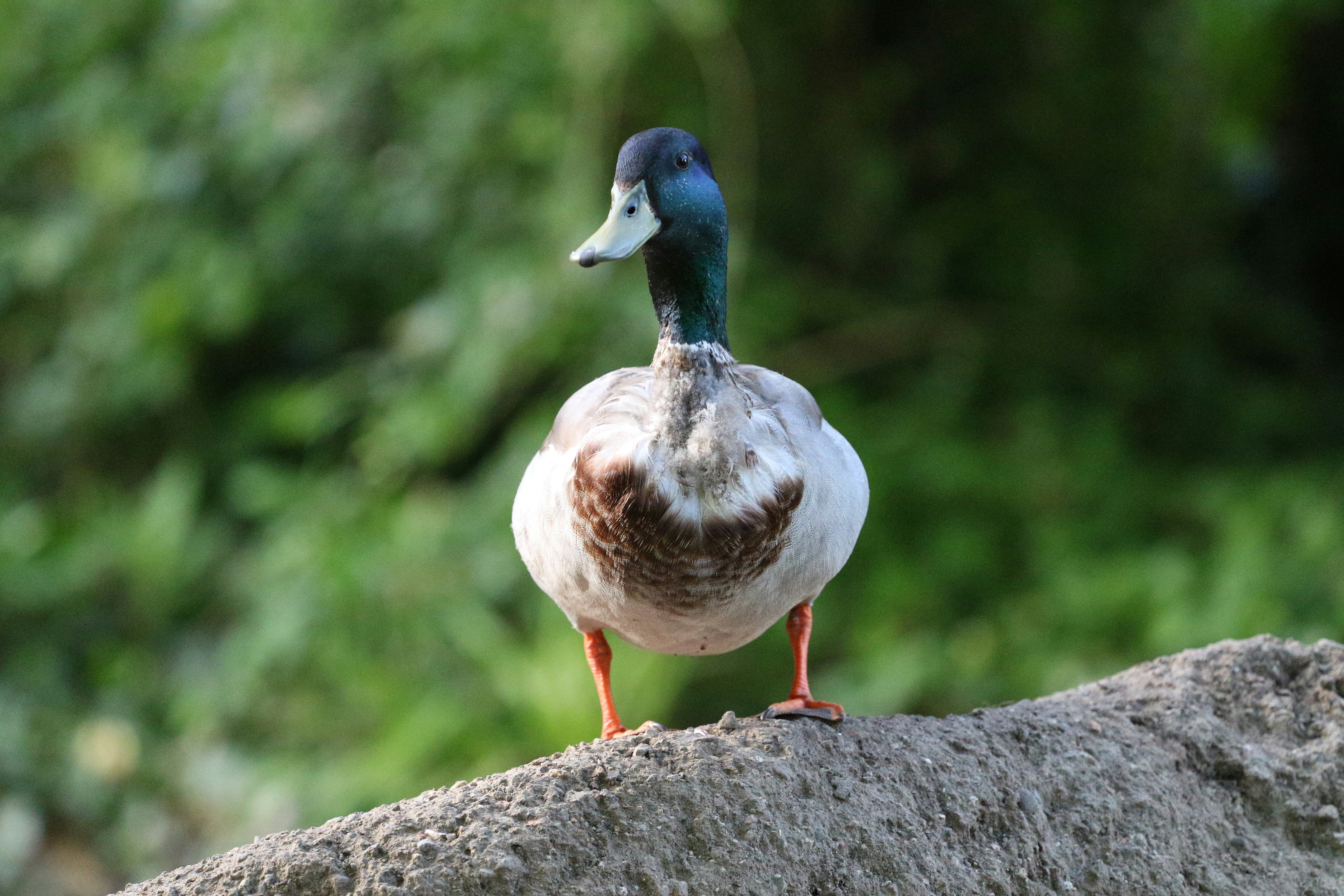 Photo by patrykstefanskiphotography