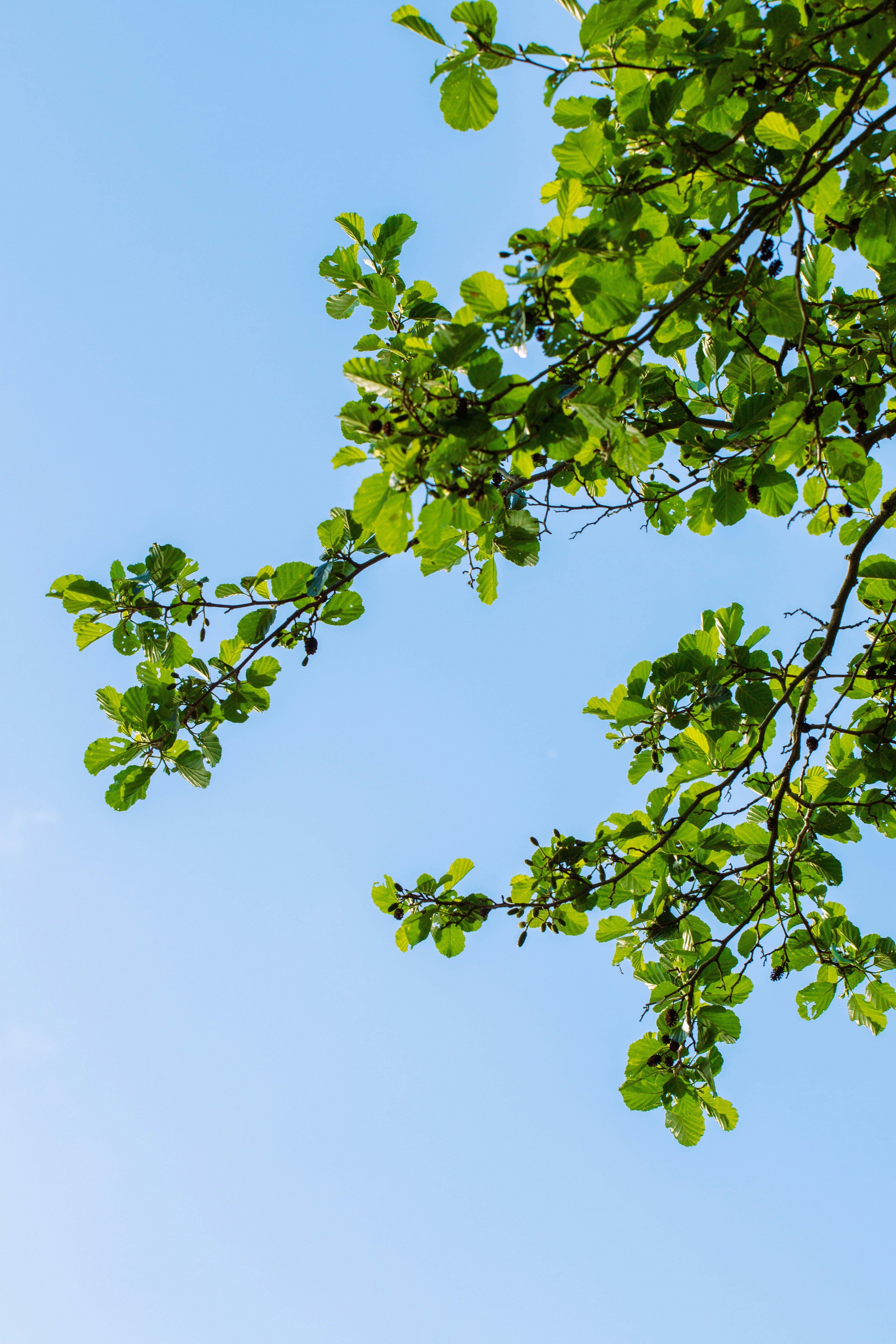 Photo by patrykstefanskiphotography