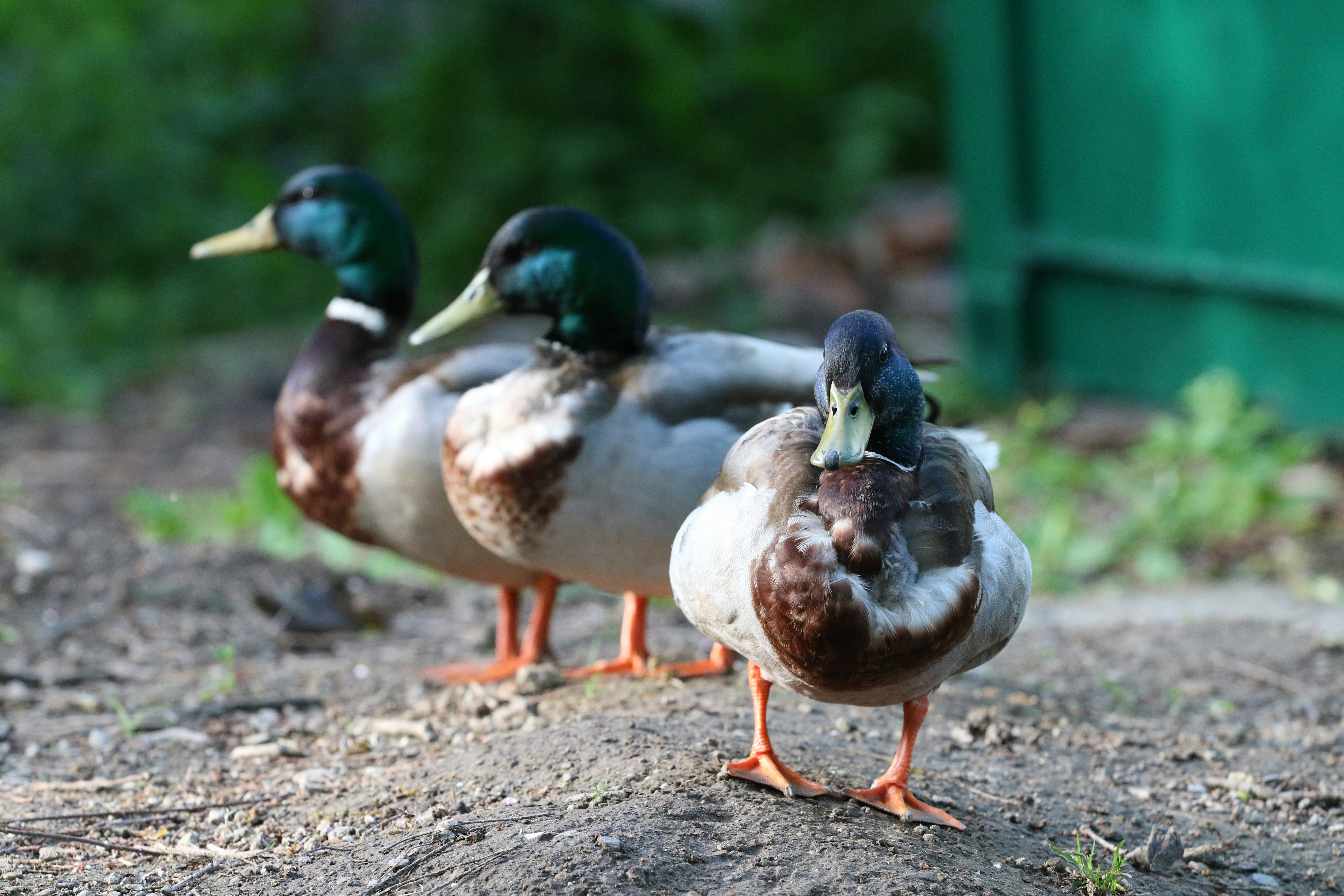 Succession Planning Reimagined: Digital Wills, e‑Notary and Leadership Handoffs (2026)