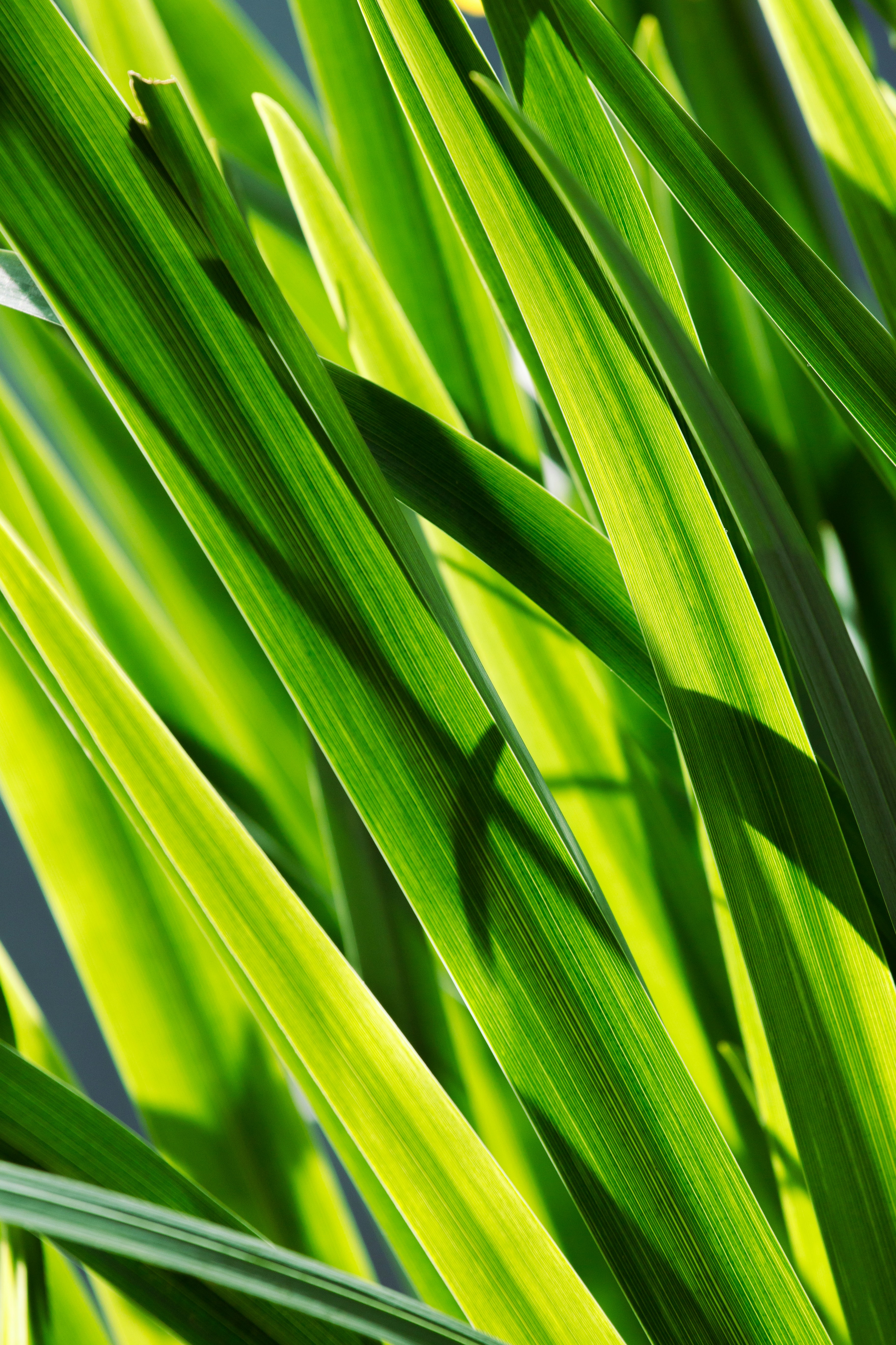 Photo by patrykstefanskiphotography