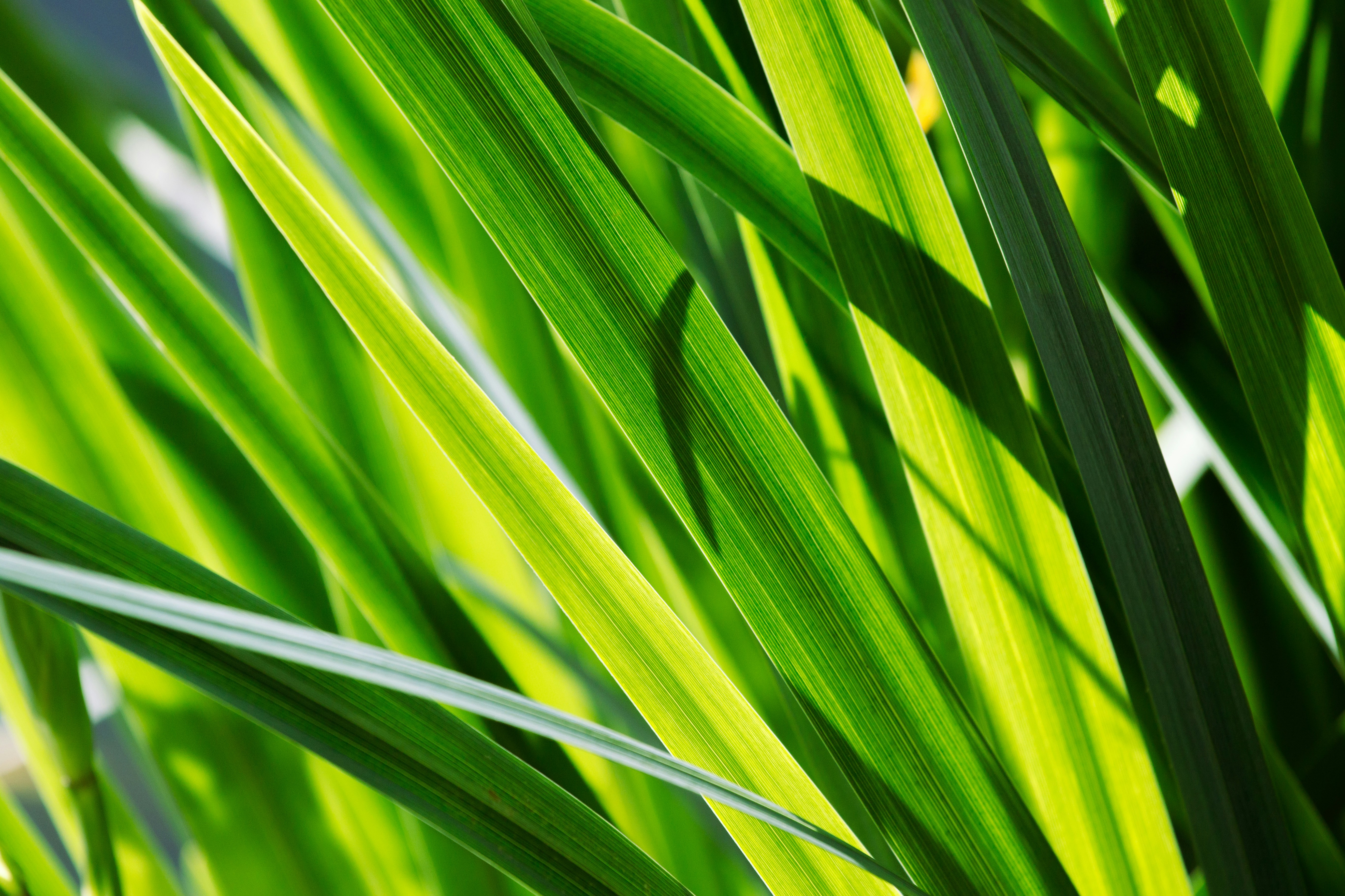 Photo by patrykstefanskiphotography