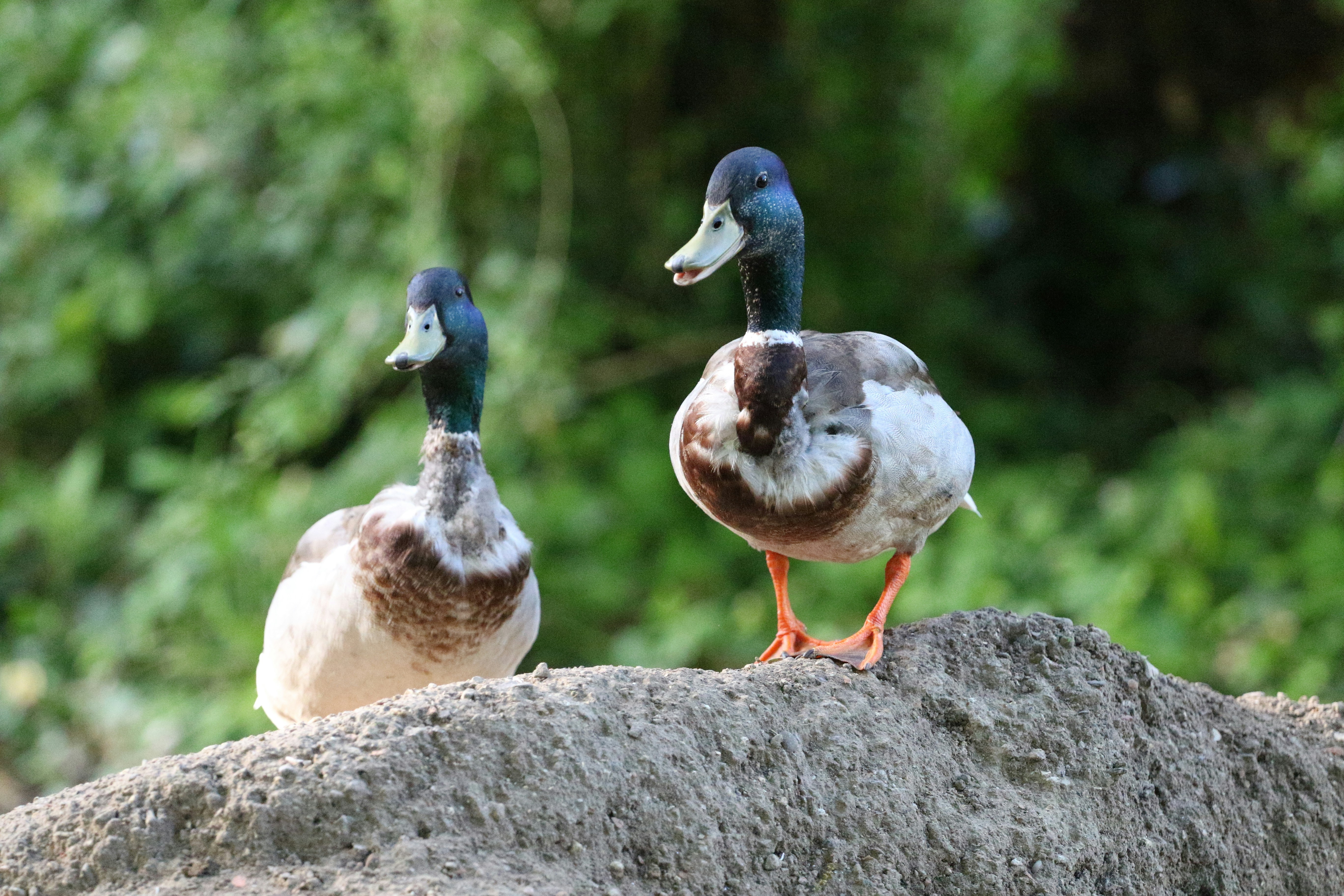 Photo by patrykstefanskiphotography