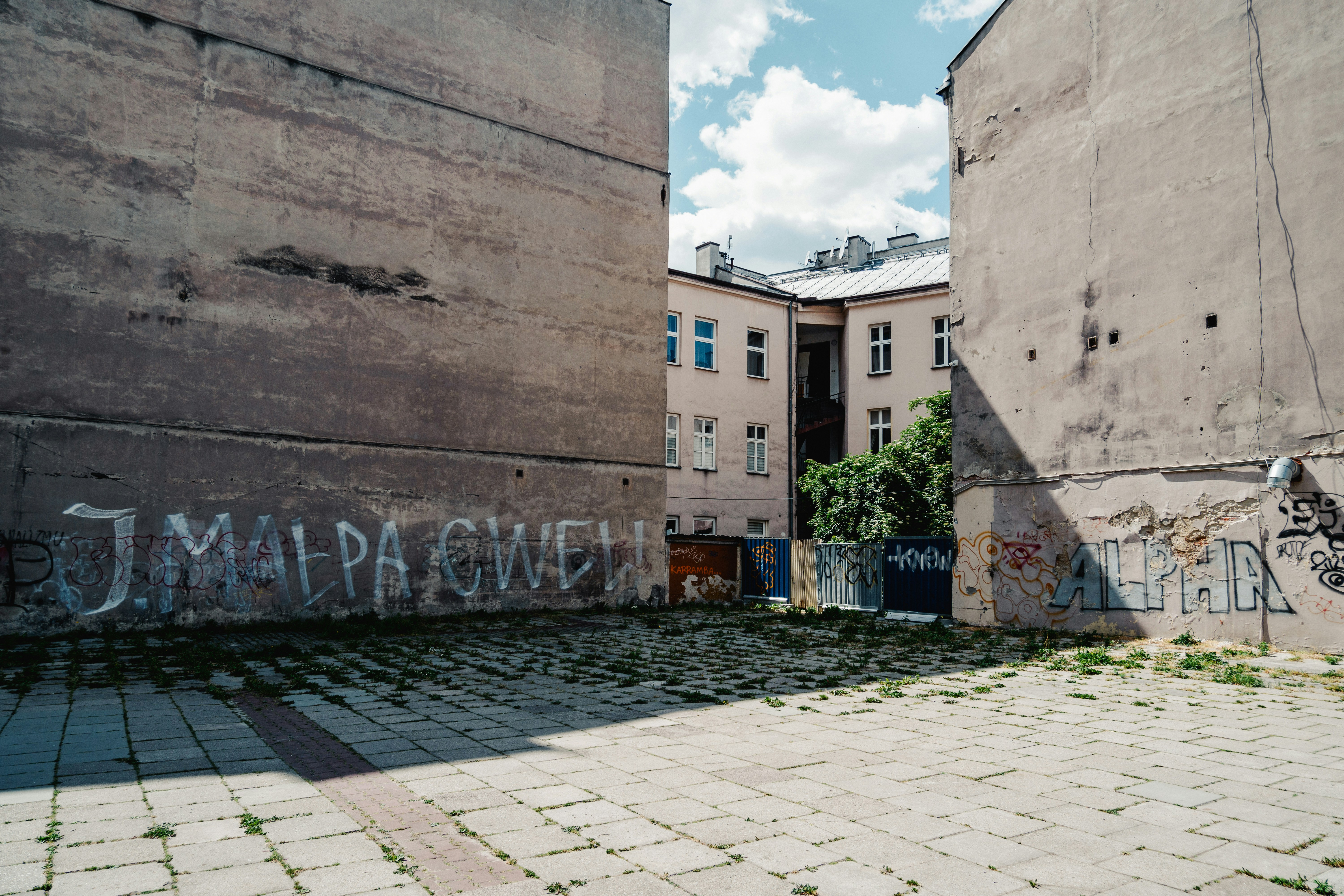 Photo by patrykstefanskiphotography