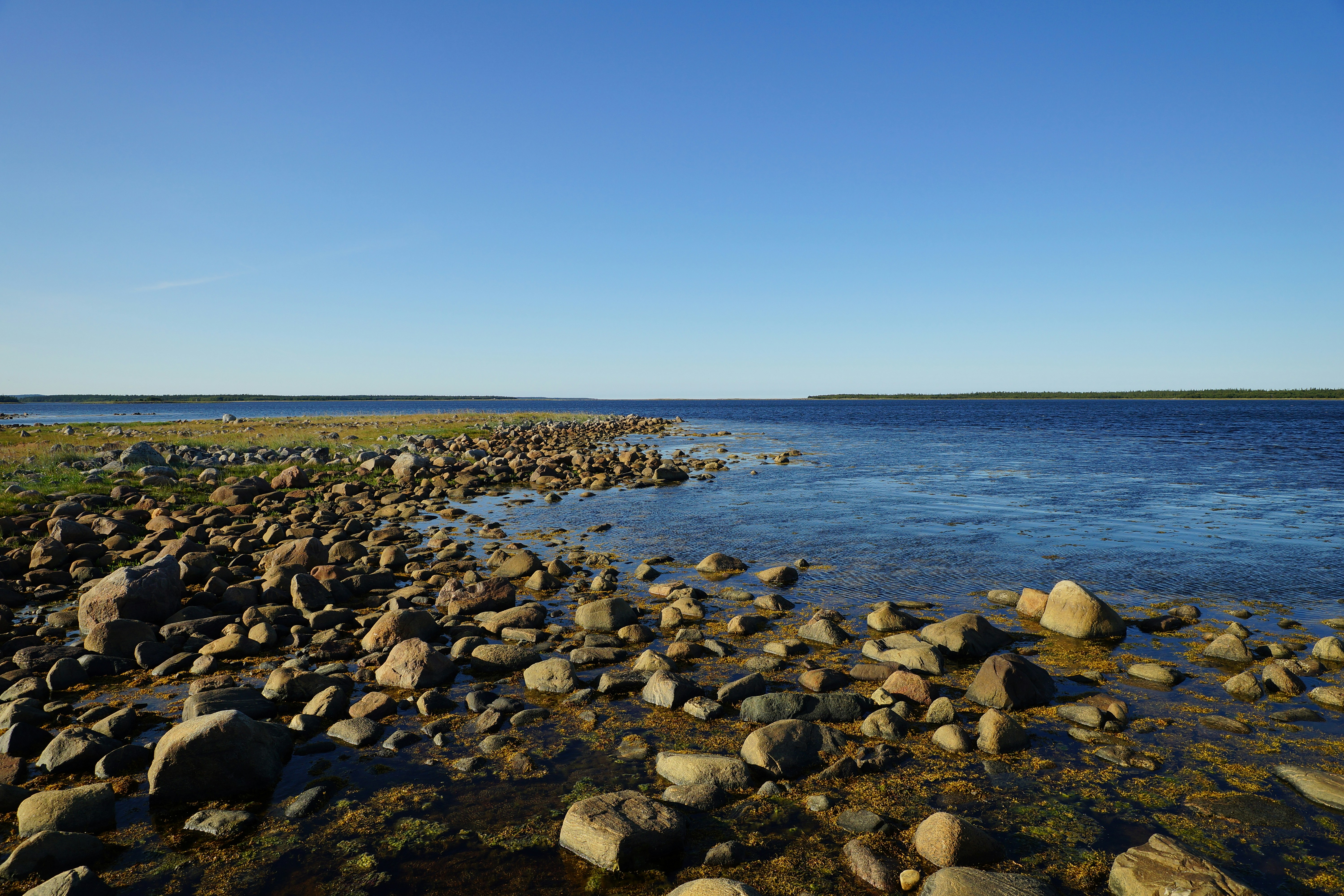 Photo by vadim_shevyrin