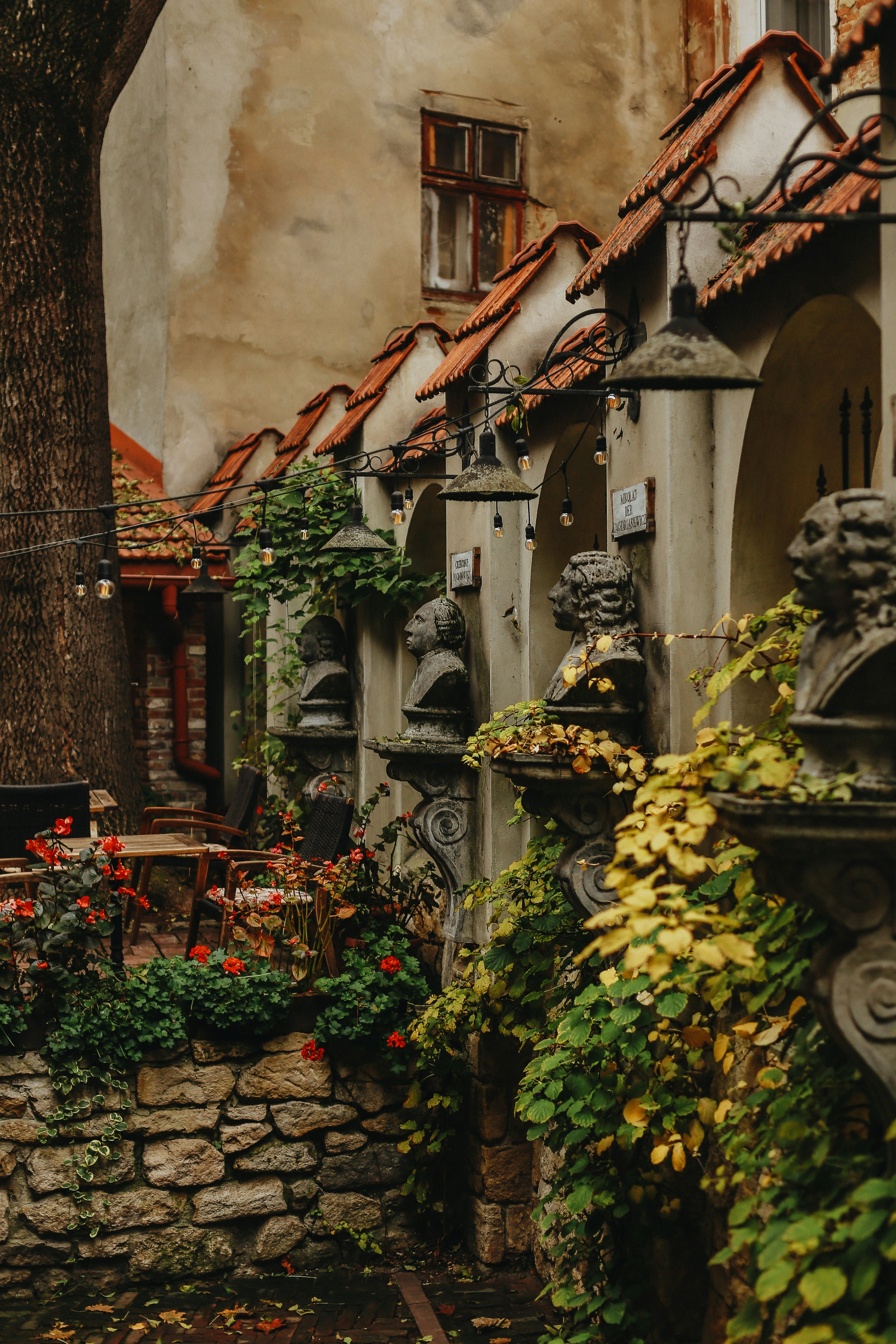 A row of stone buildings with plants growing on them