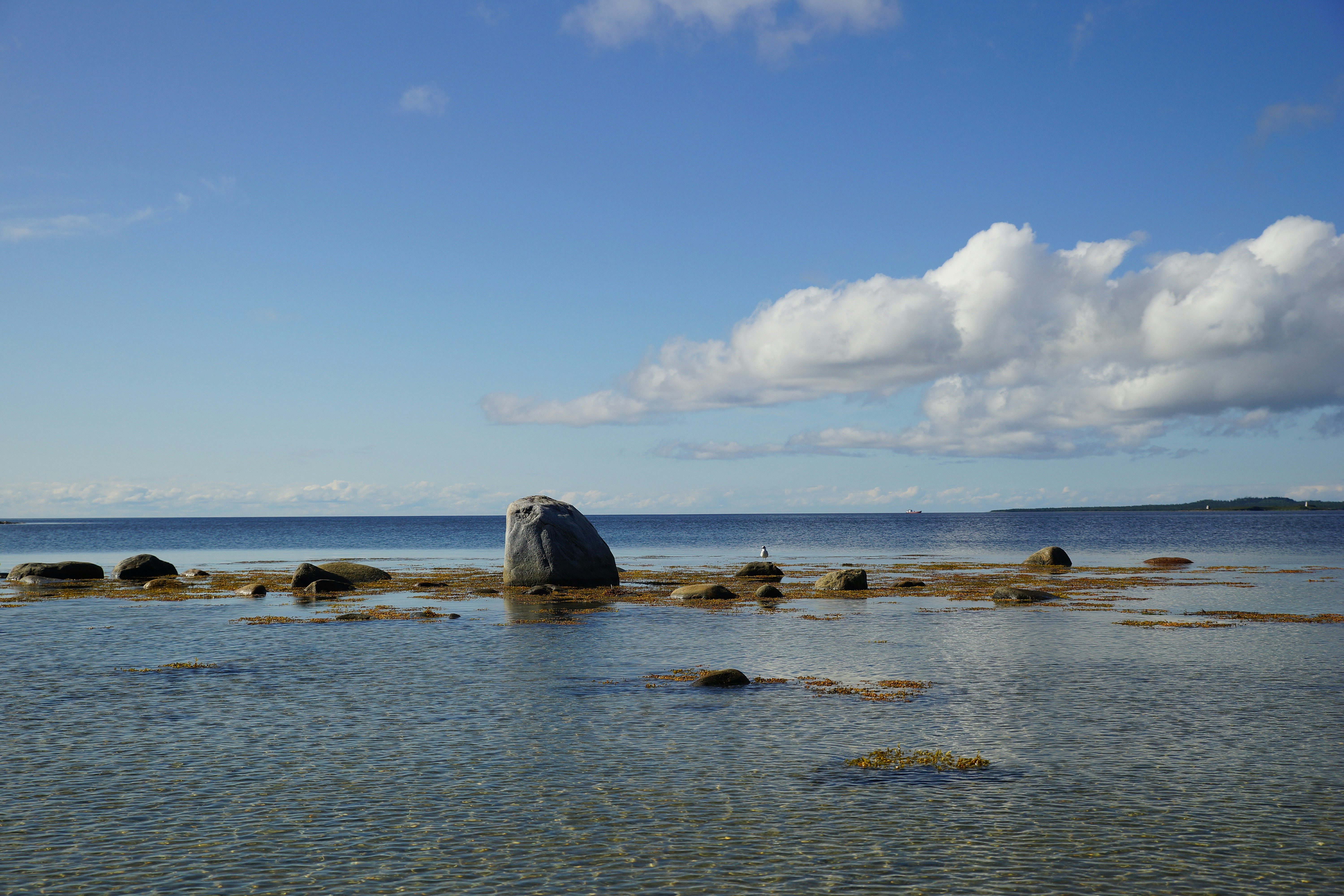 A rock in the middle of a body of water