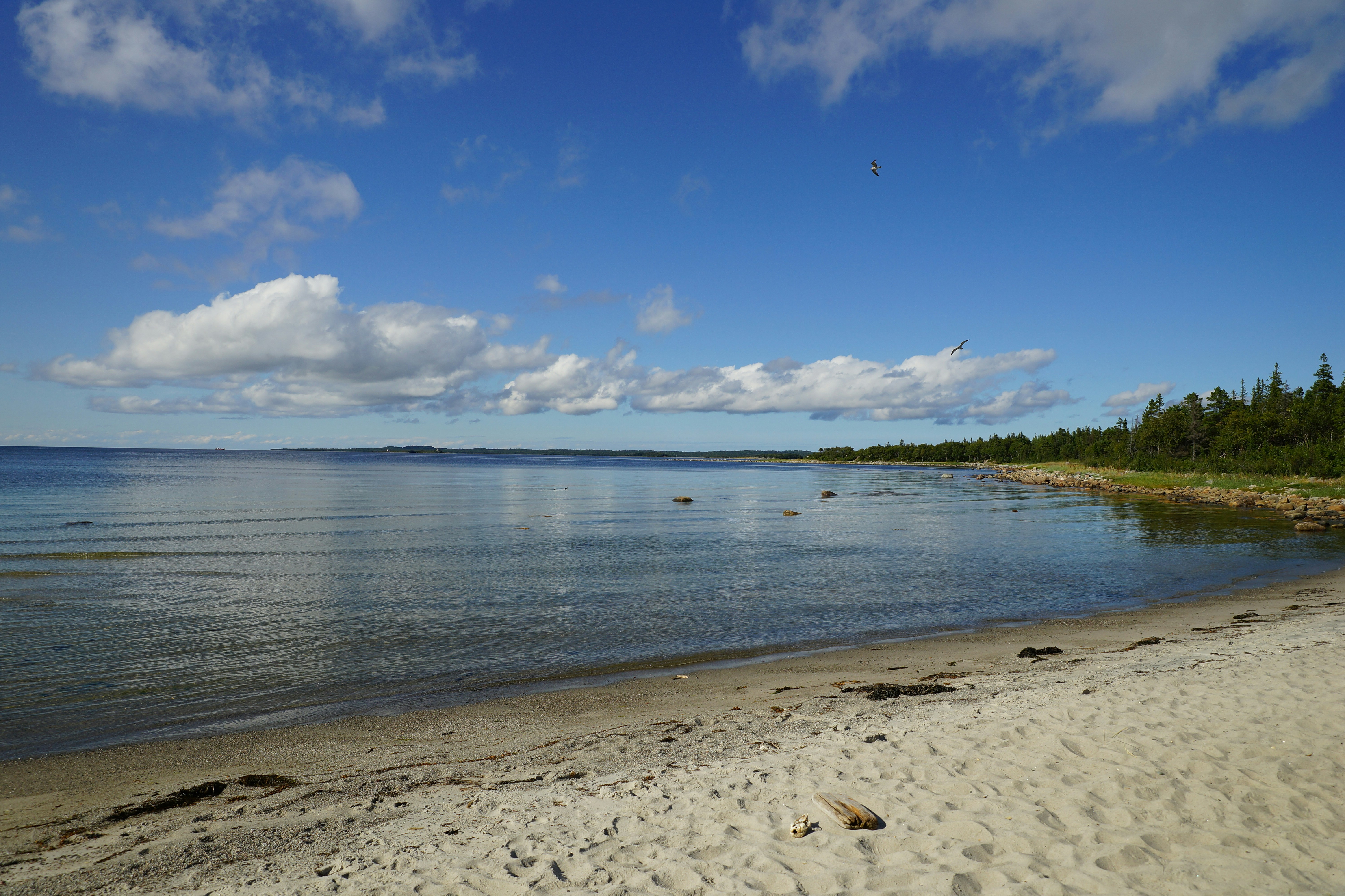 Photo by vadim_shevyrin