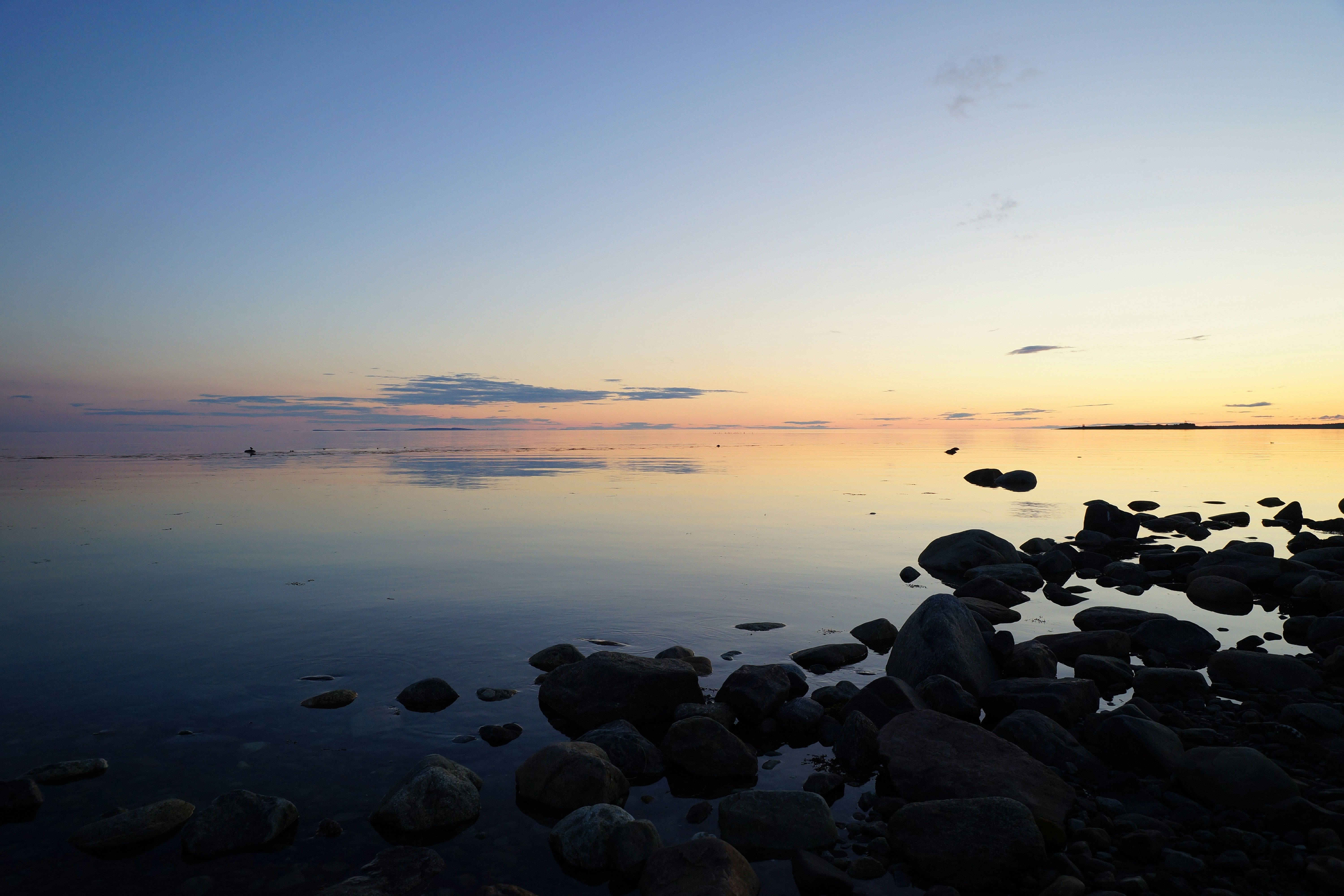 Photo by vadim_shevyrin