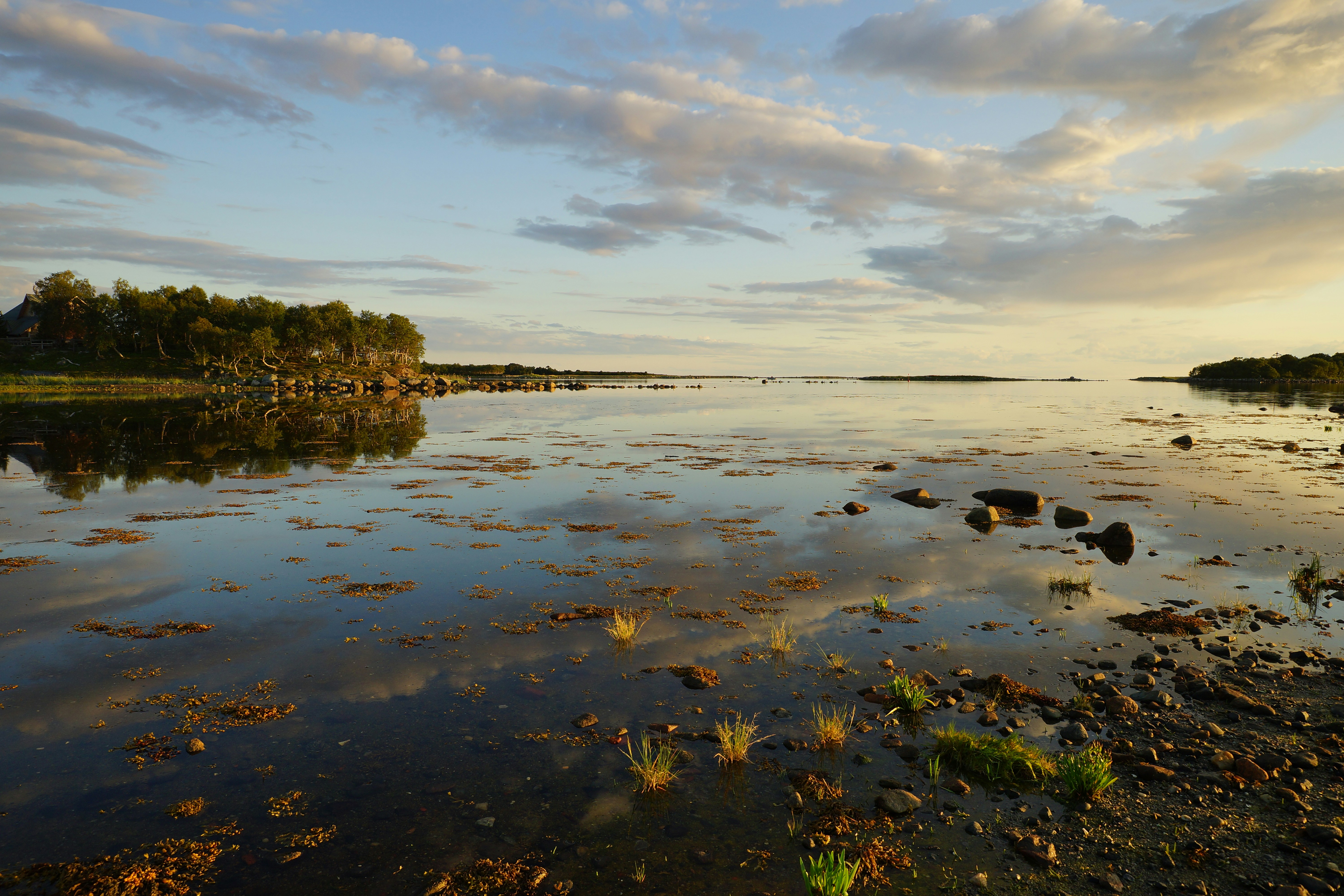 Photo by vadim_shevyrin