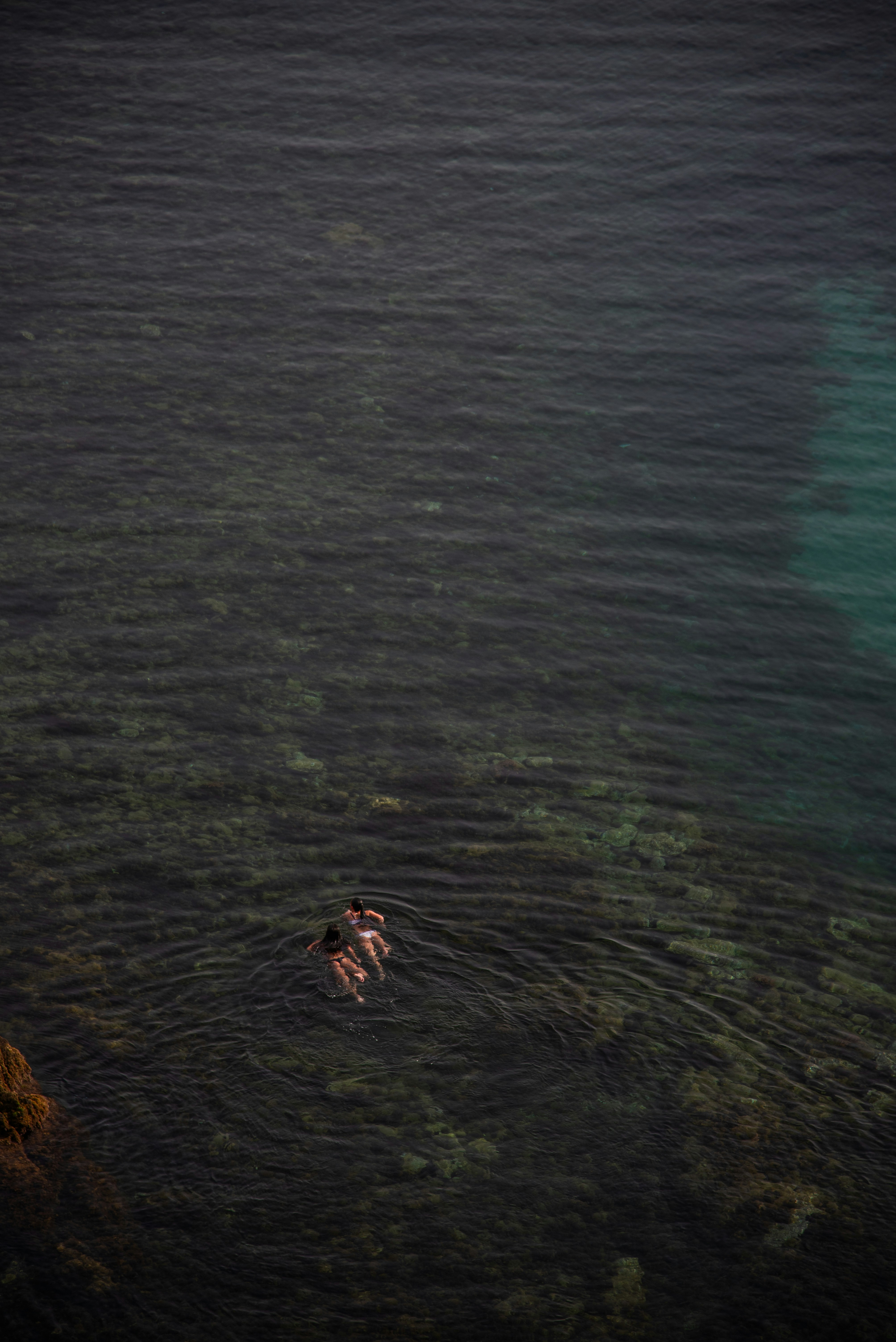 Photo by gunnarridder