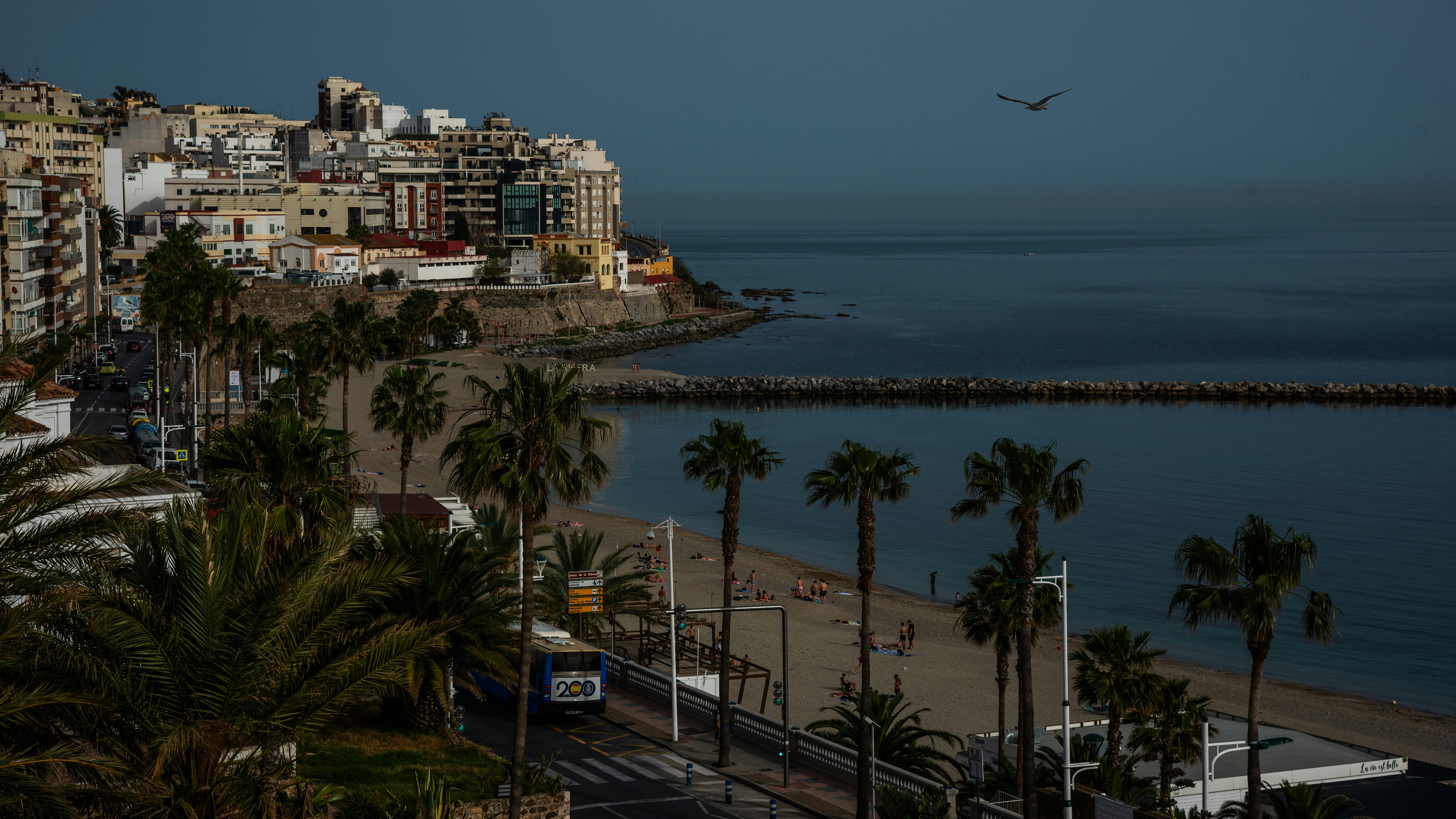 Photo by gunnarridder