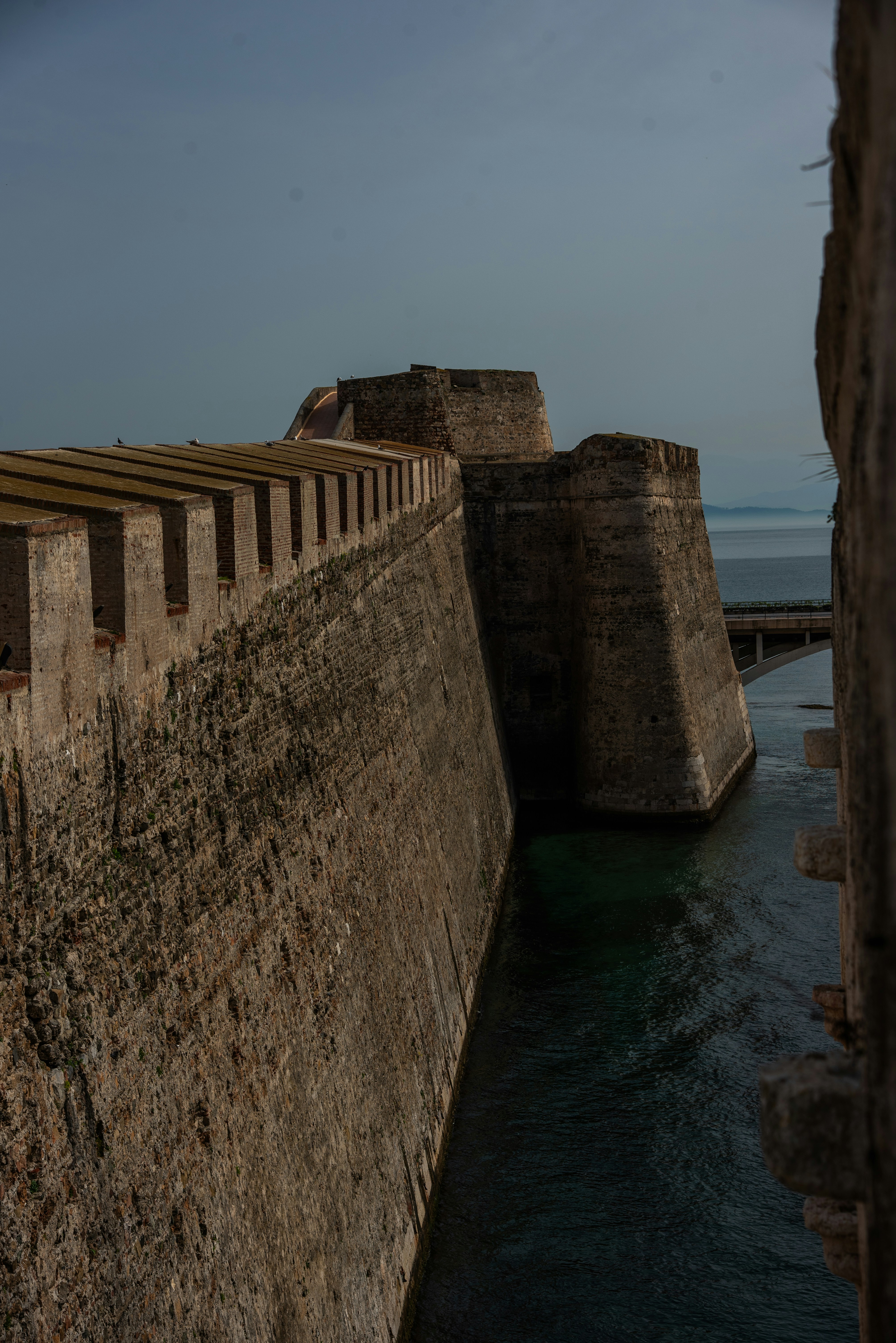 Photo by gunnarridder