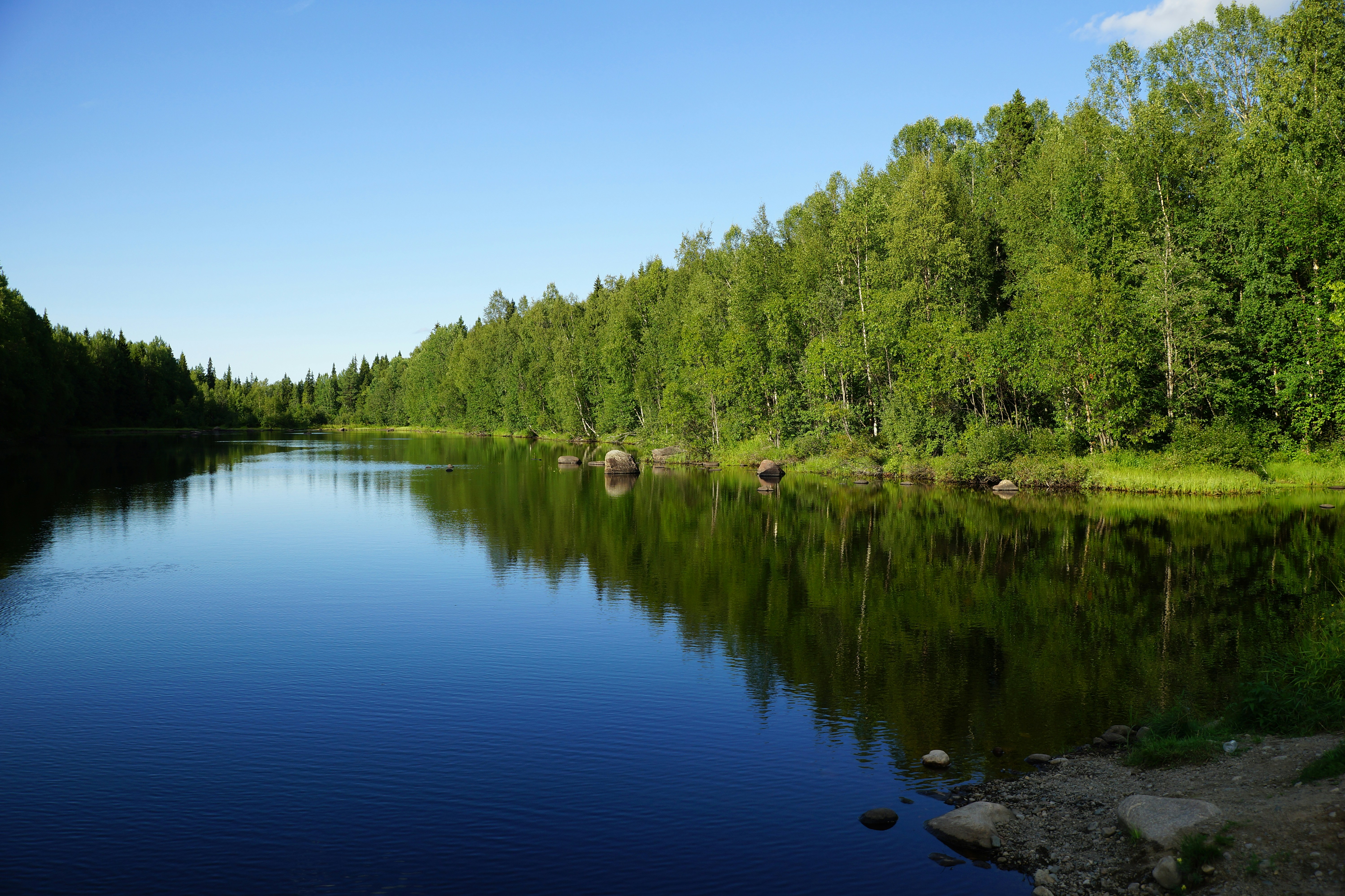 Photo by vadim_shevyrin