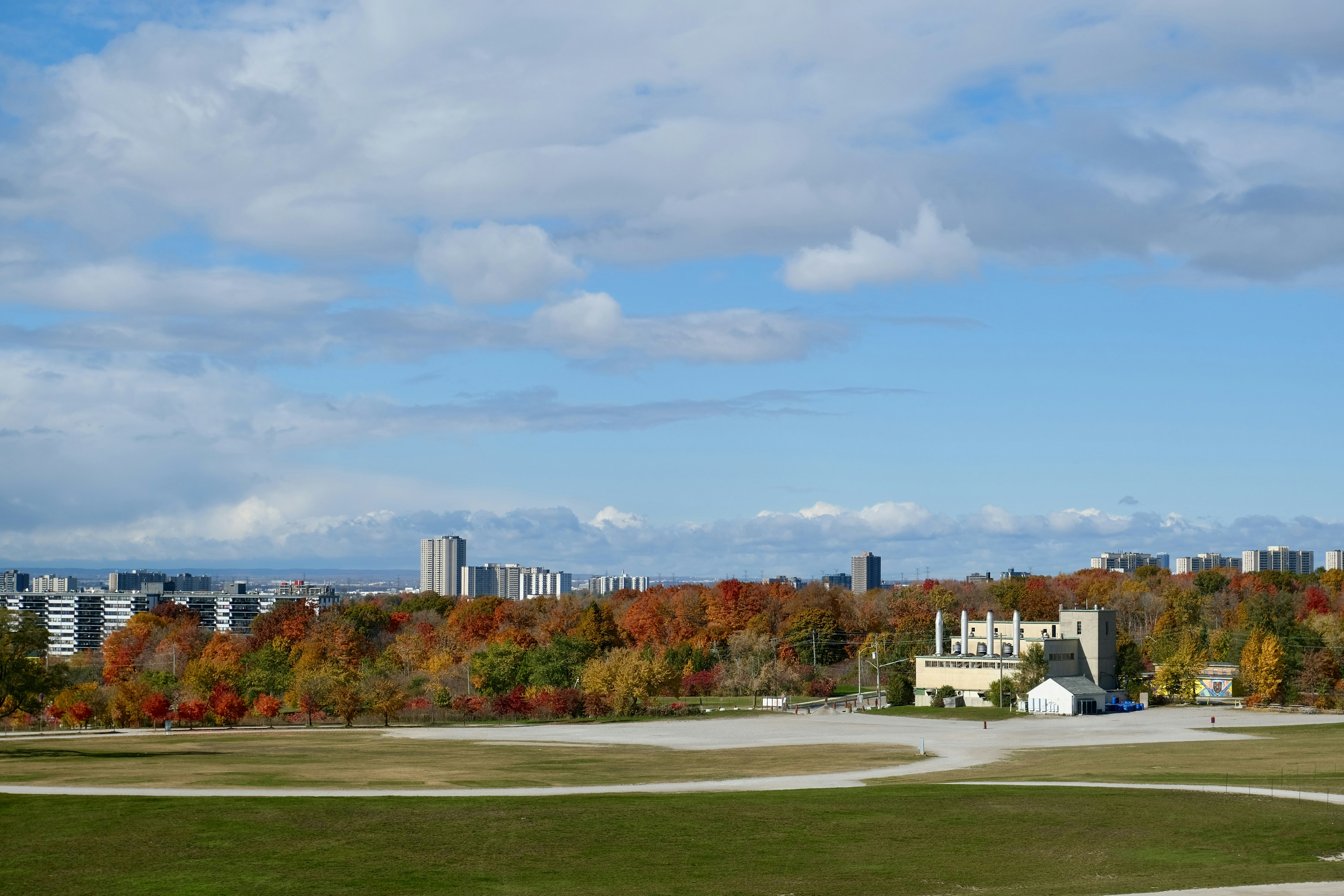 York University Heights, ON