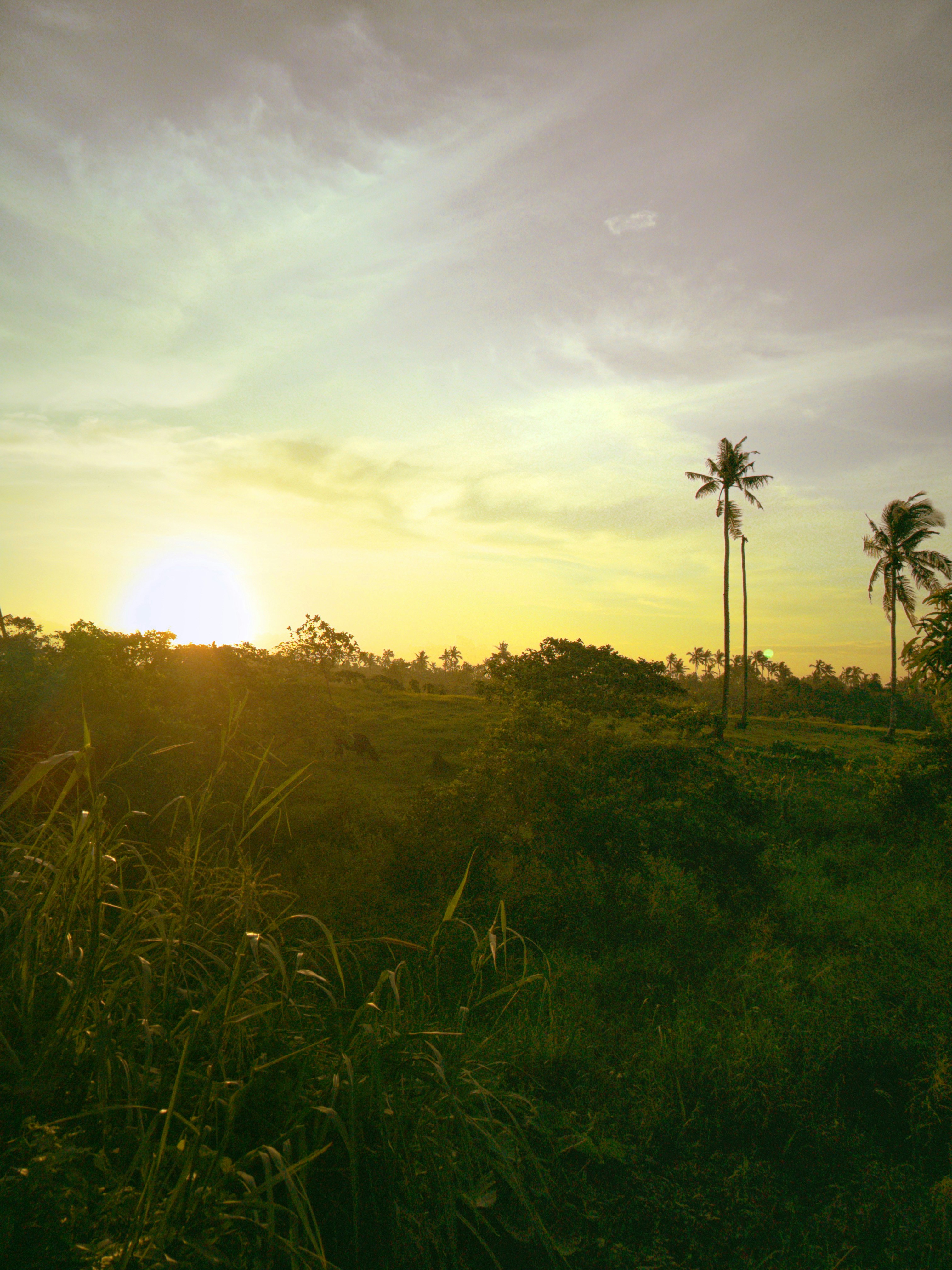 Colorful tropical Brazilian celebration with warm sunset tones and festive atmosphere
