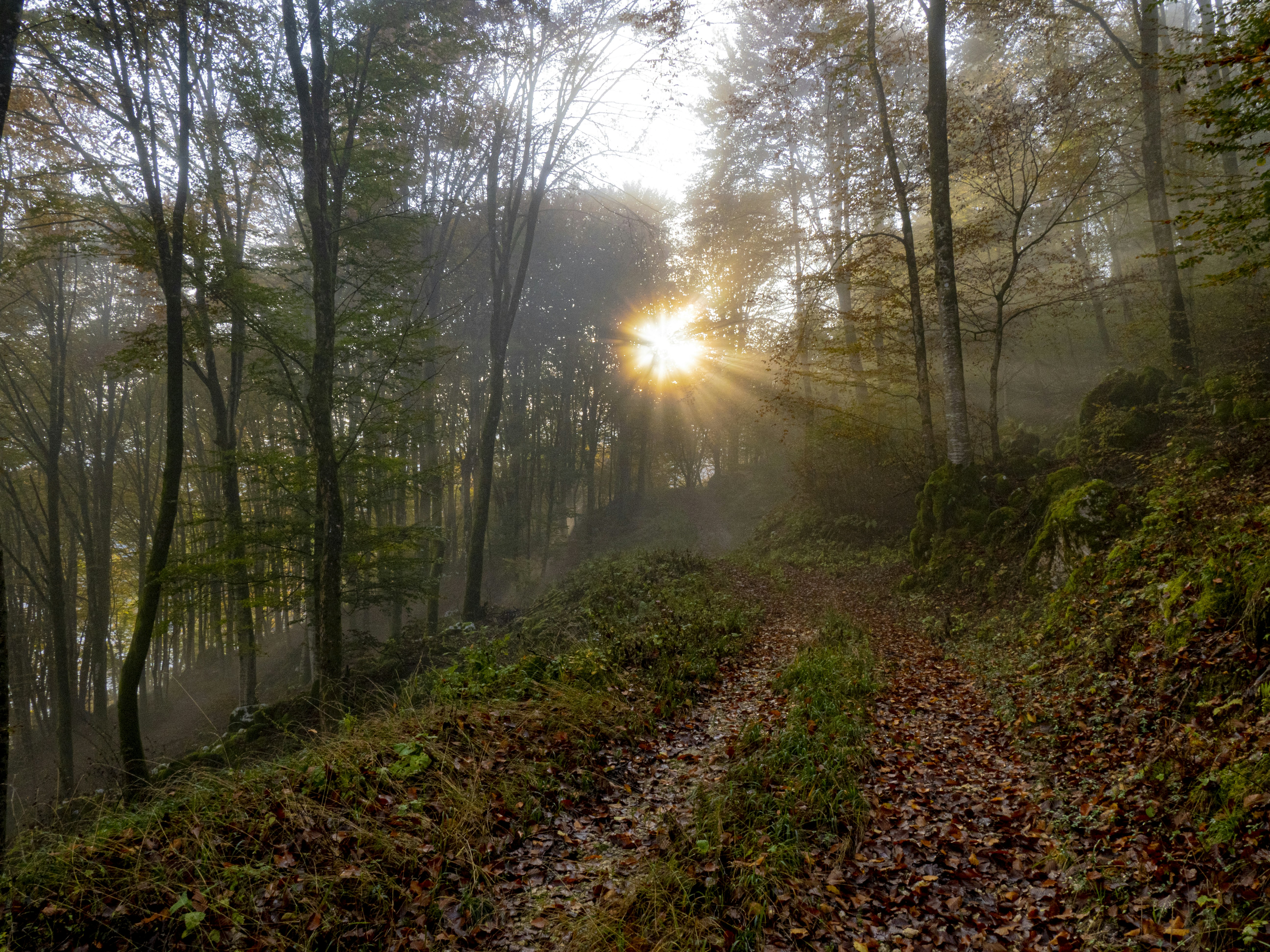 Photo by gopitri_prem