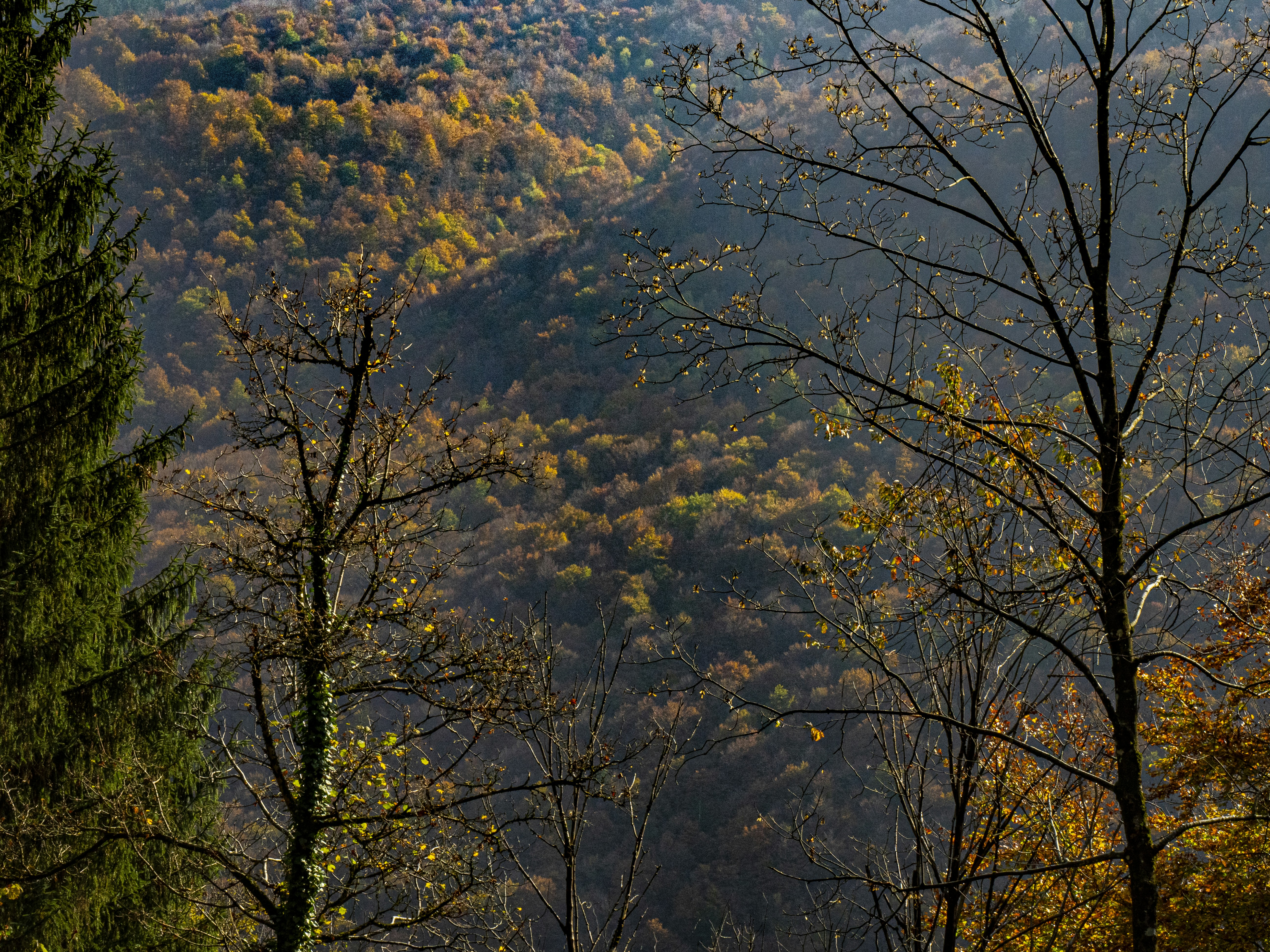 Photo by gopitri_prem