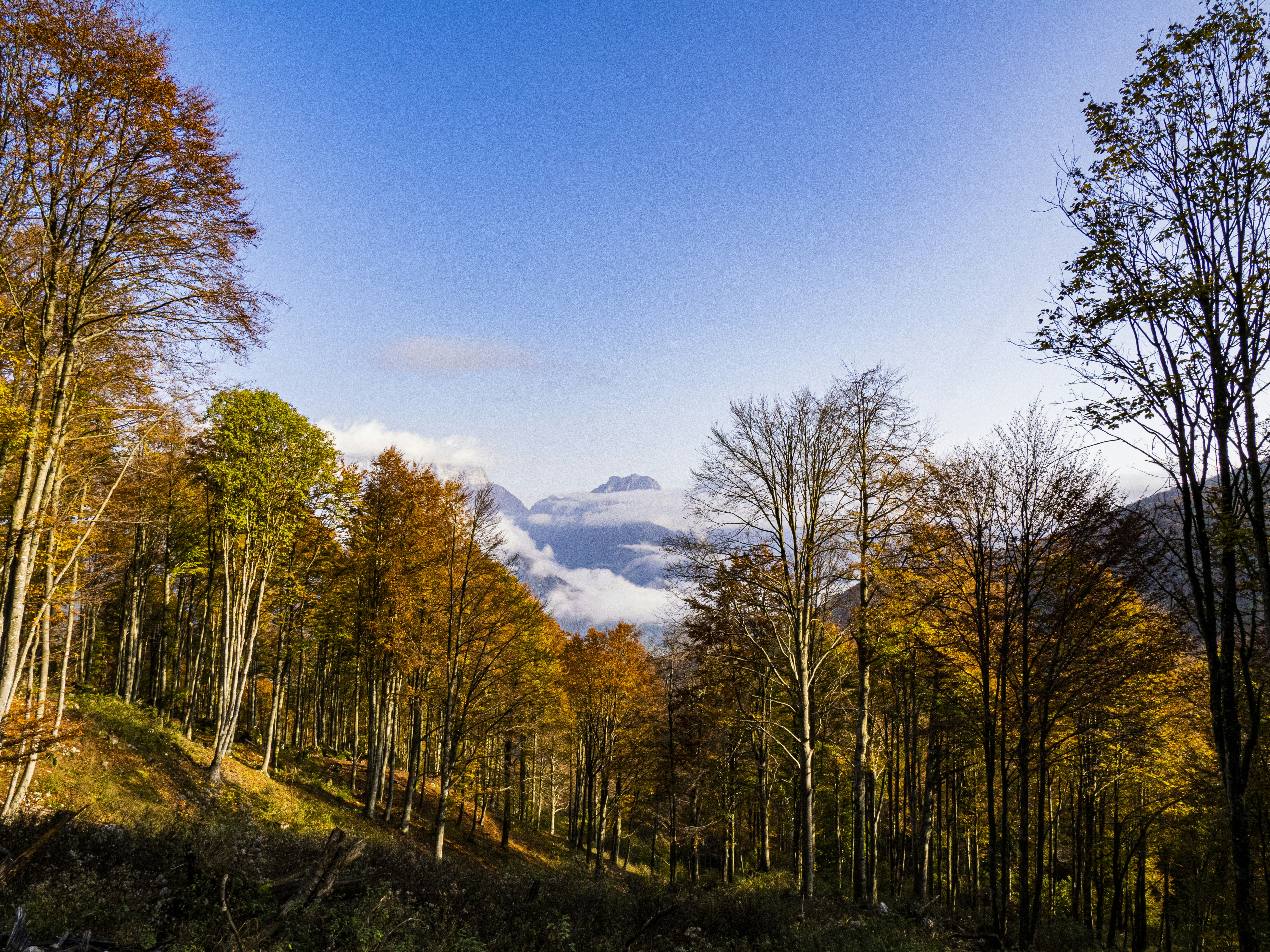 Photo by gopitri_prem